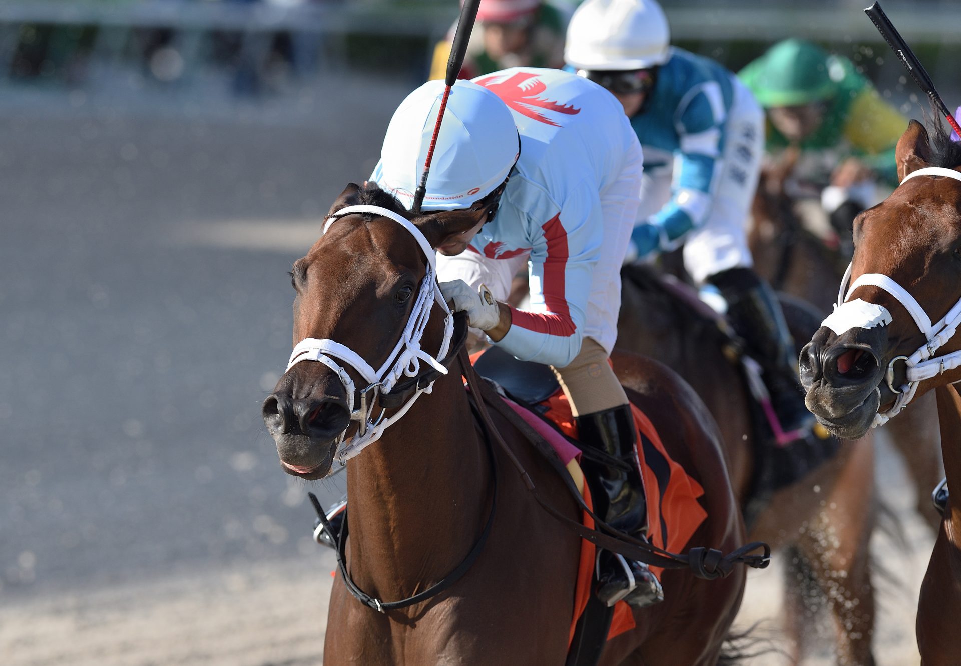 She's So Beautiful (Air Force Blue) winning the Khozan Juvenile Fillies Sprint Stakes at Gulfstream Park