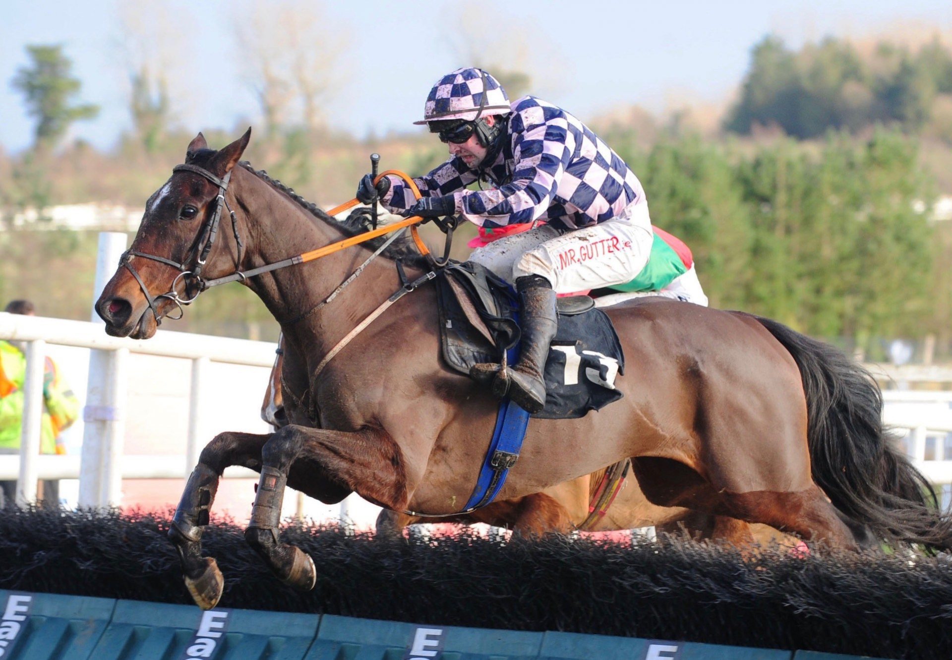 Shes Some Doll (Yeats) Wins The Maiden Hurdle At Limerick
