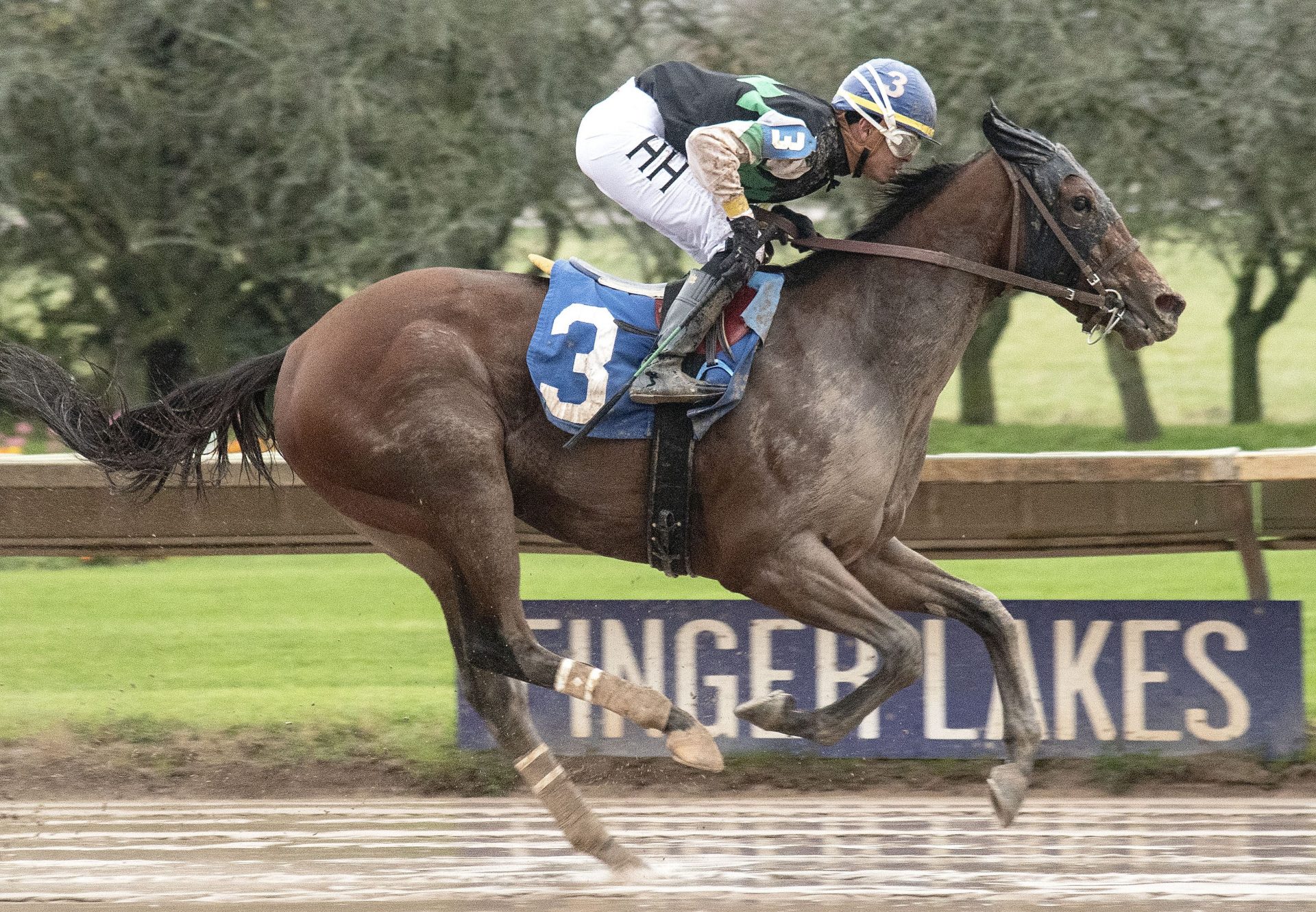 Shesawildjoker (Practical Joke) winning the Shesastonecoldfox Stakes