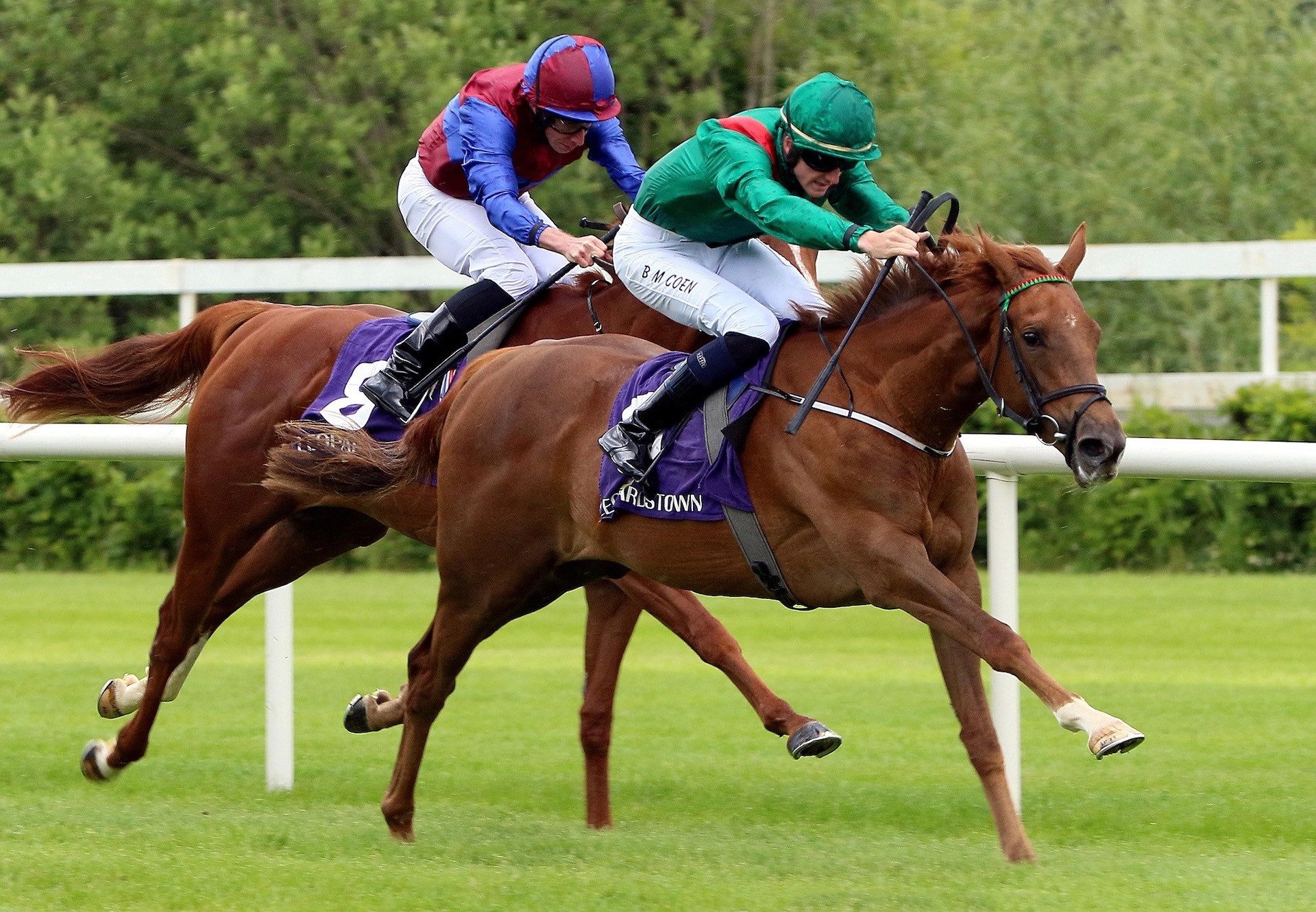 Sheyya (Starspangledbanner) Makes A Winning Debut At Leopardstown