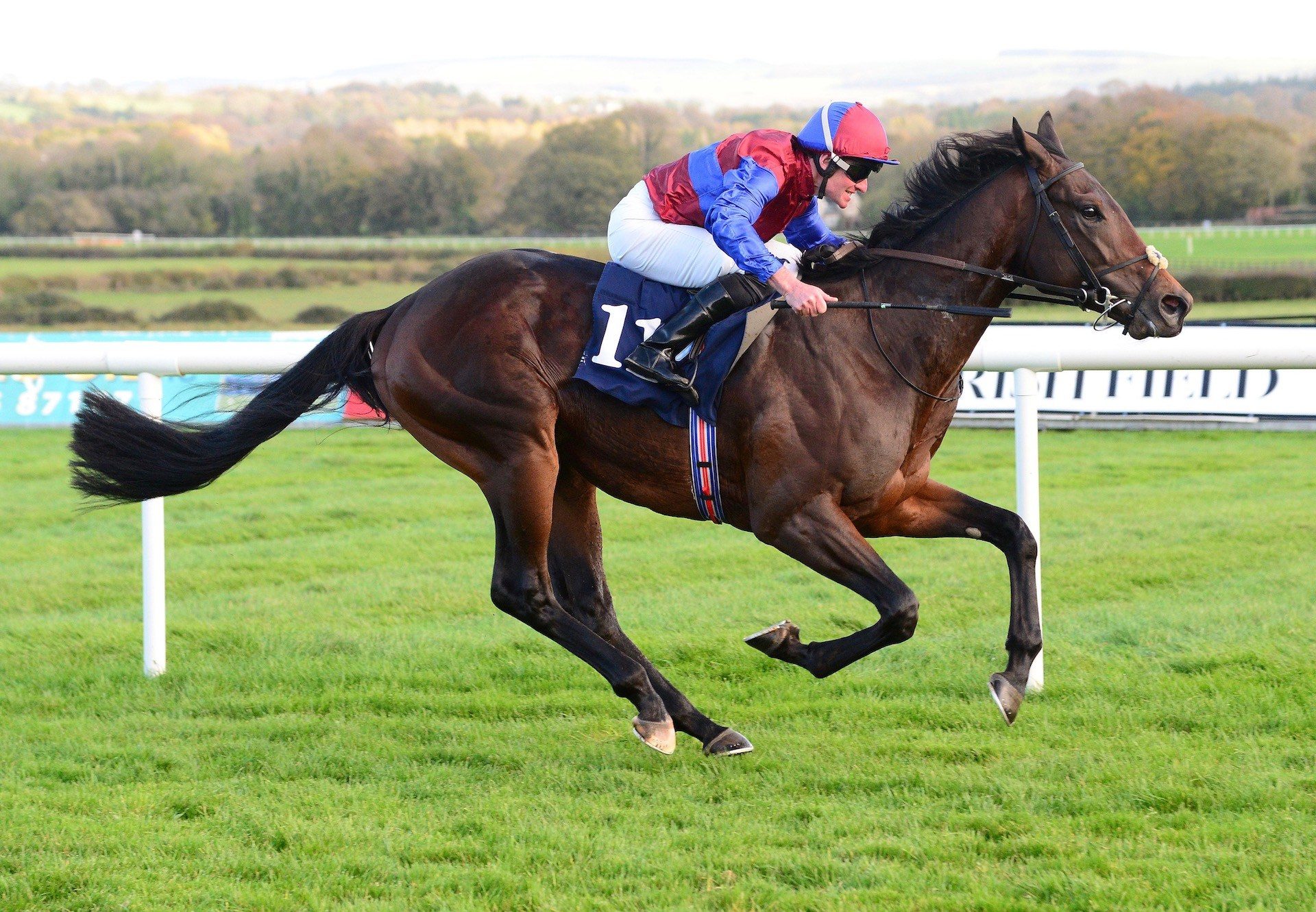 Sierra Blanca (No Nay Never) Wins His Maiden At Naas