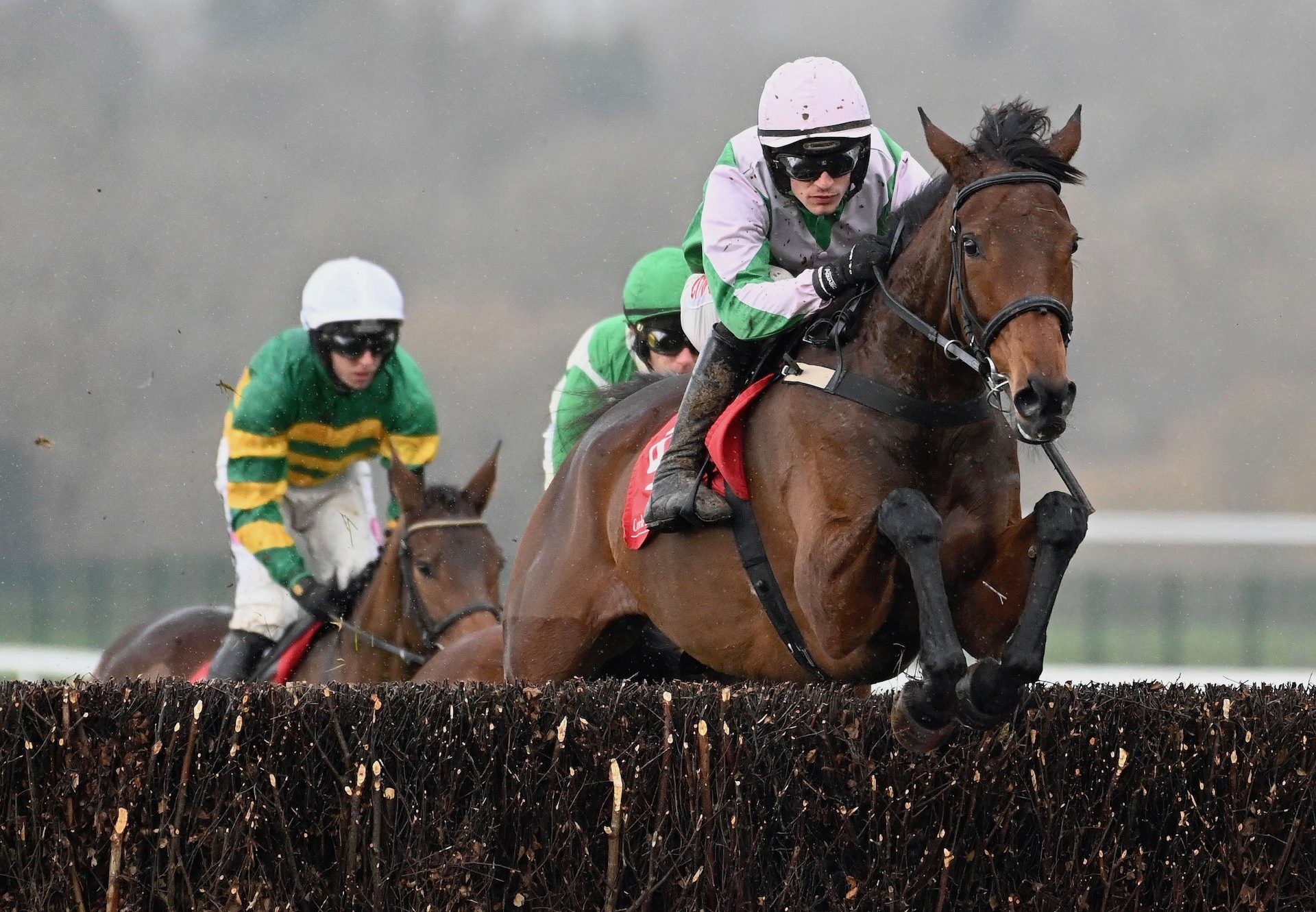 Silent Approach (Walk In The Park) Wins The Grade 2 Mares Novice Chase At Cork