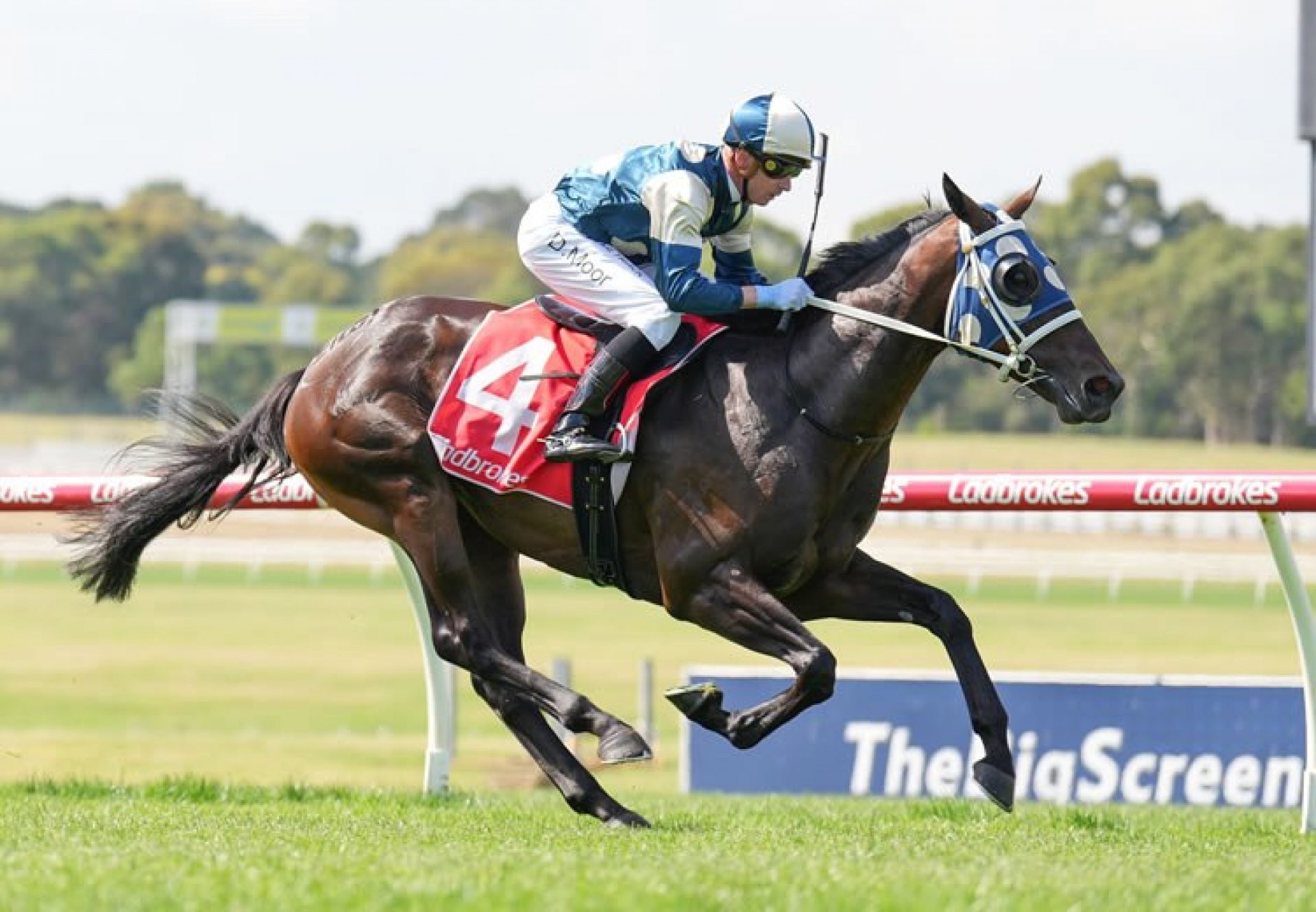 Simeon (Pierro) winning at Sandown