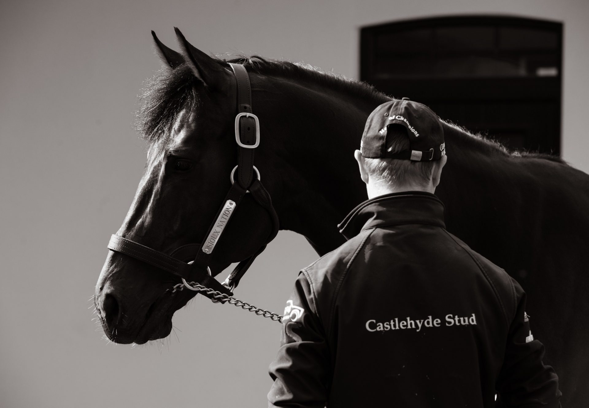 Sioux Nation Stallion Yard