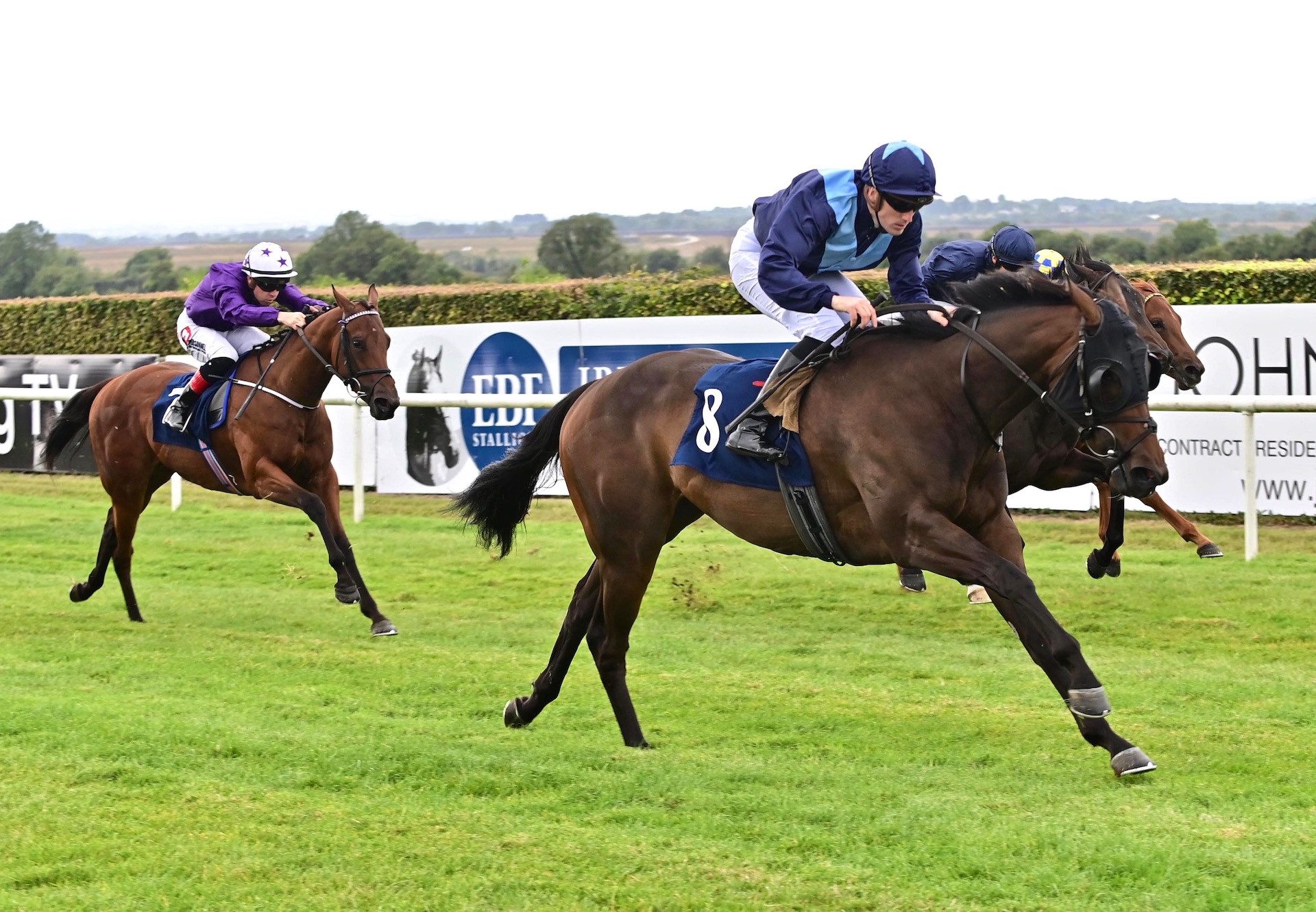 Sioux Spirit (Sioux Nation) Wins Her Maiden At Navan