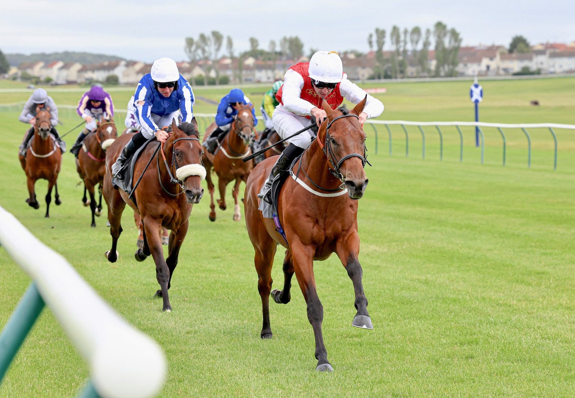 Sipahsalar (Sioux Nation) Wins His Maiden At Ayr