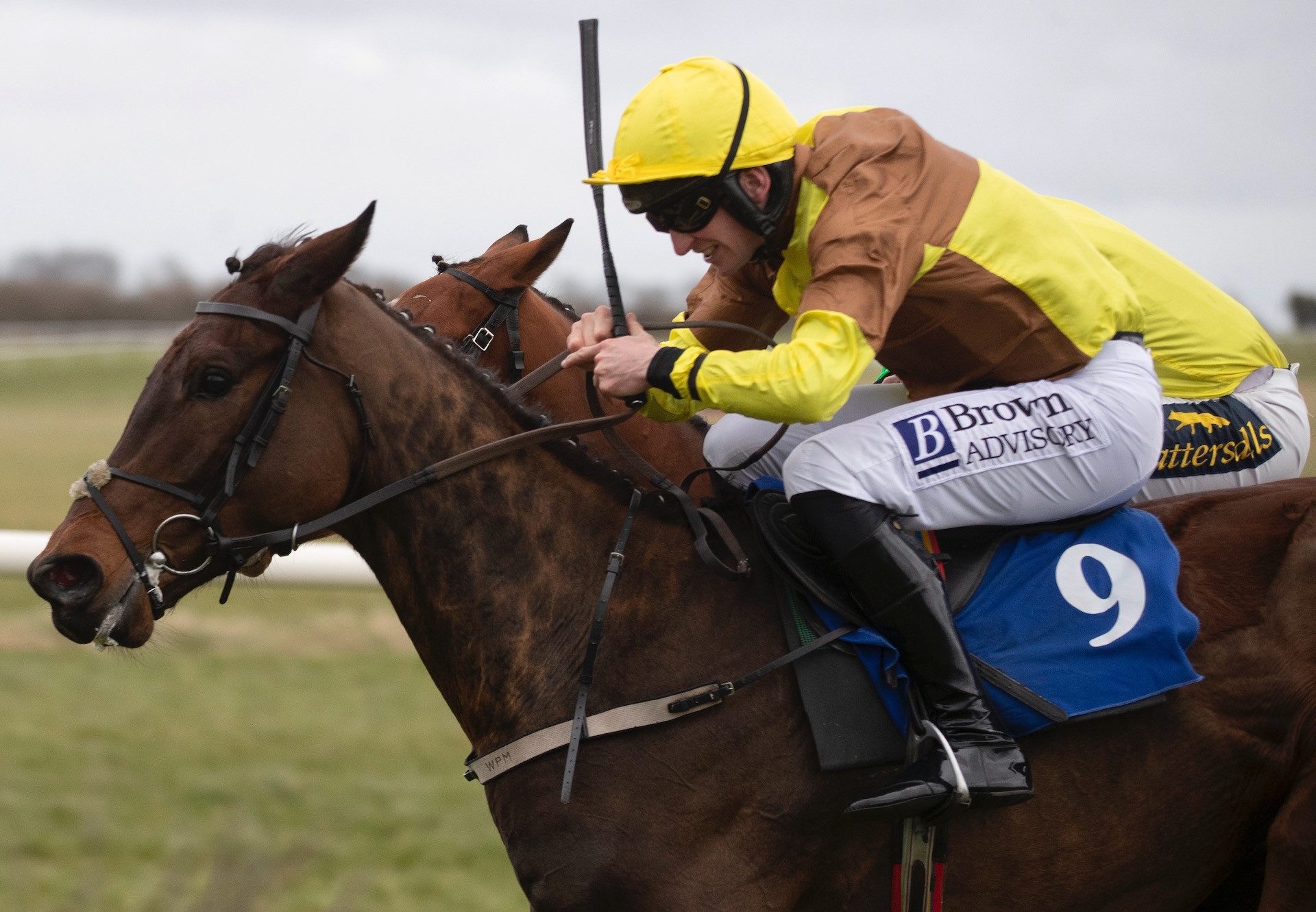 Sir Argus (Soldier Of Fortune) Wins The Bumper At Thurles