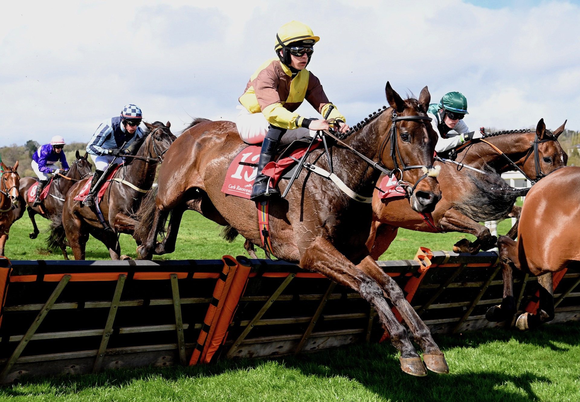 Sir Argus (Soldier Of Fortune) Wins The Maiden Hurdle Cork