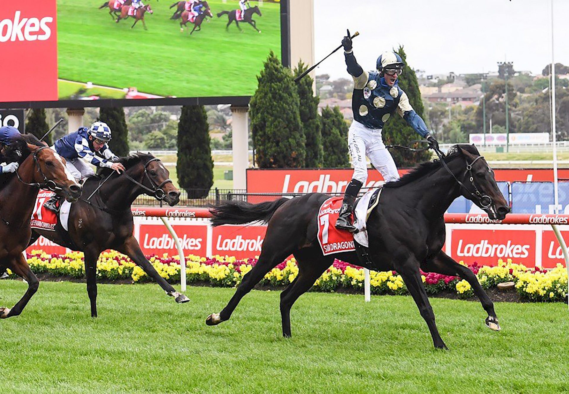 Sir Dragonet (Camelot) winnings the Gr.1 Cox Plate at Moonee Valley