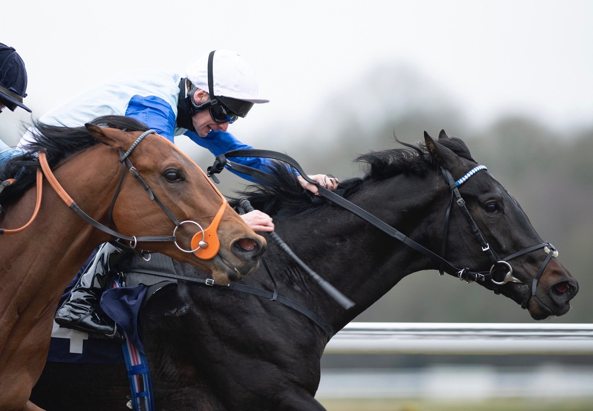 Sir Edward Elgar (No Nay Never) Wins His Maiden At Lingfield