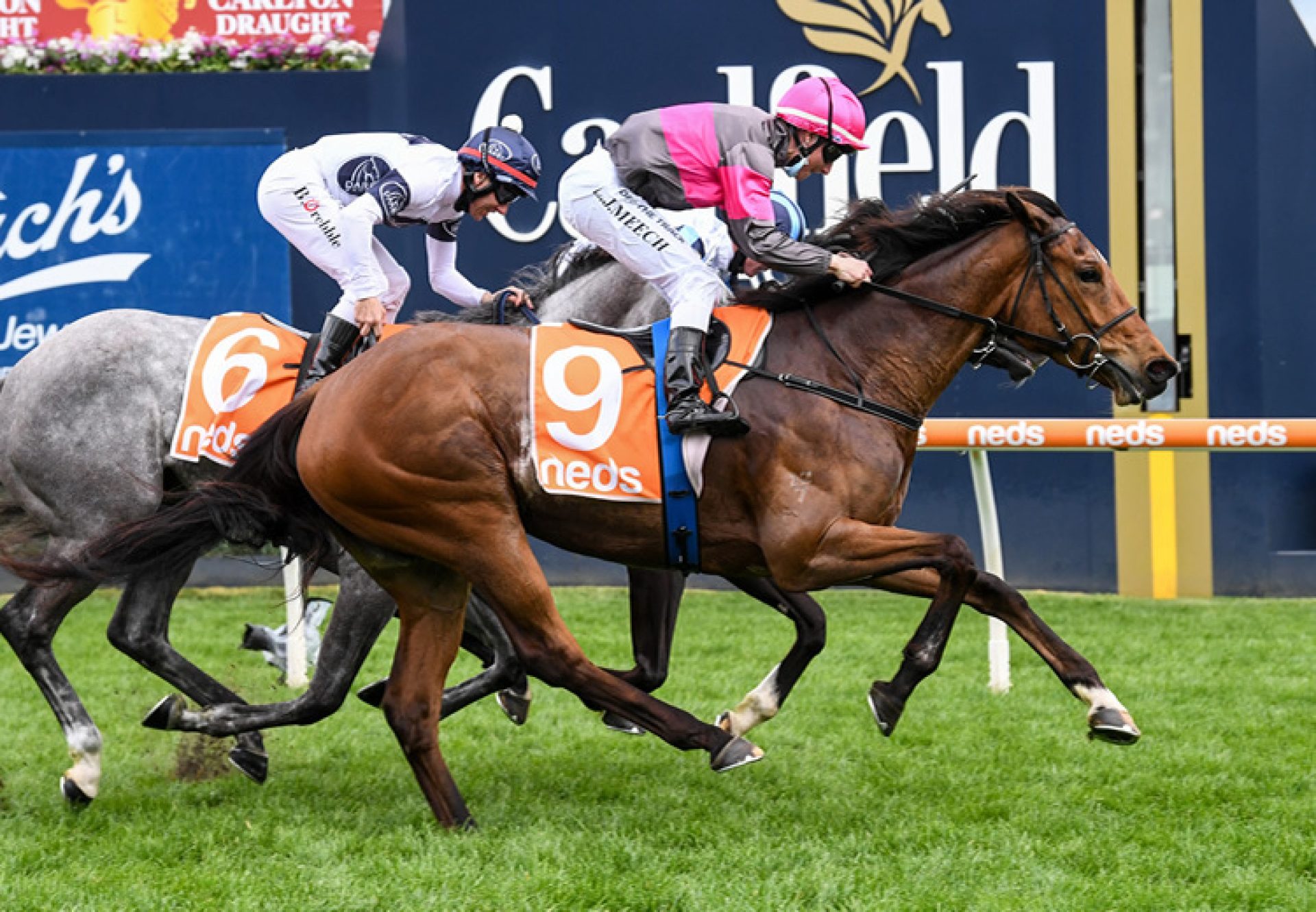 Sirileo Miss (Pride Of Dubai) winning the Ladies Day Vase at Caulfield