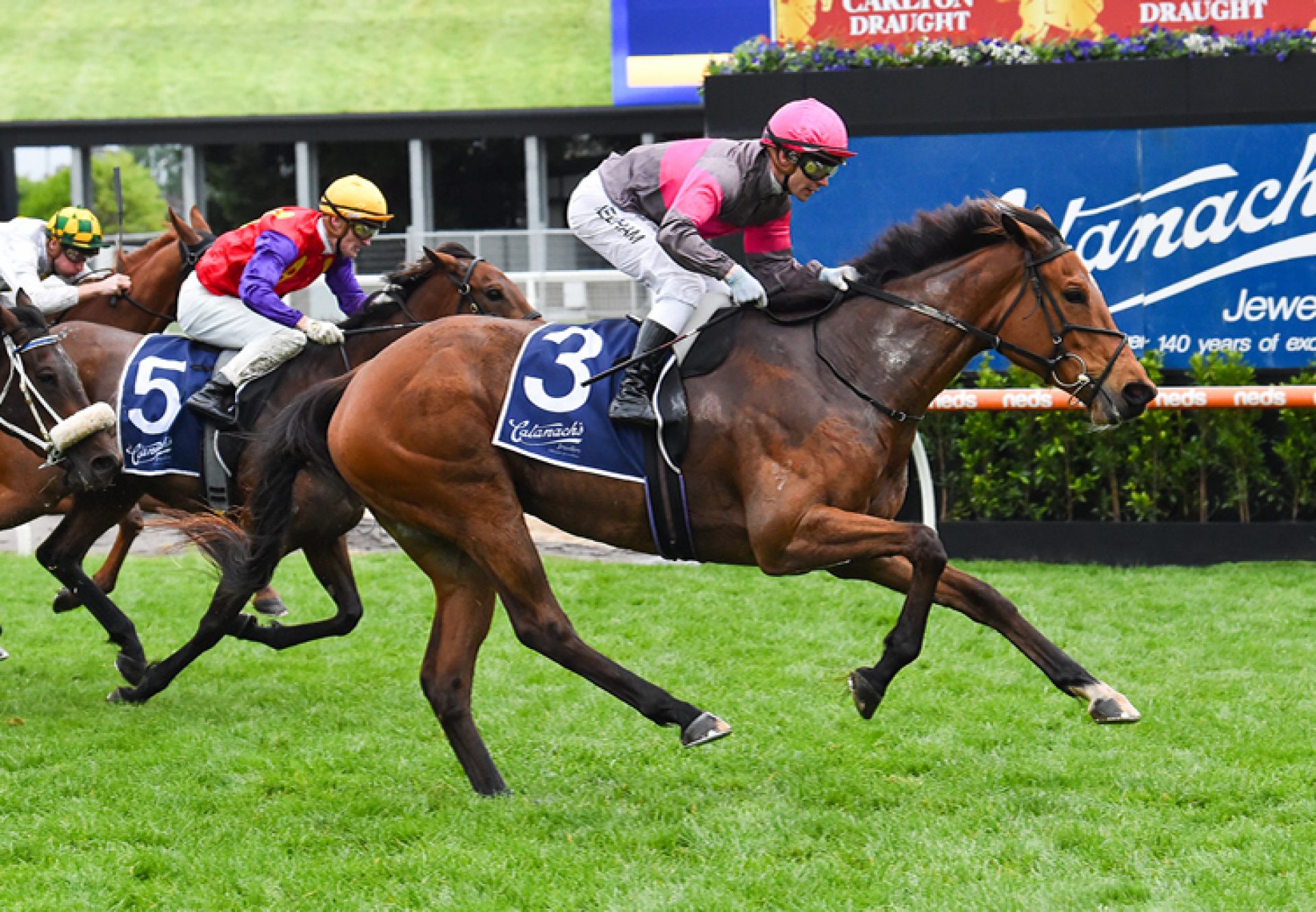 Sirileo Miss (Pride Of Dubai) winning the Gr.3 Ladies Vase at Caulfield