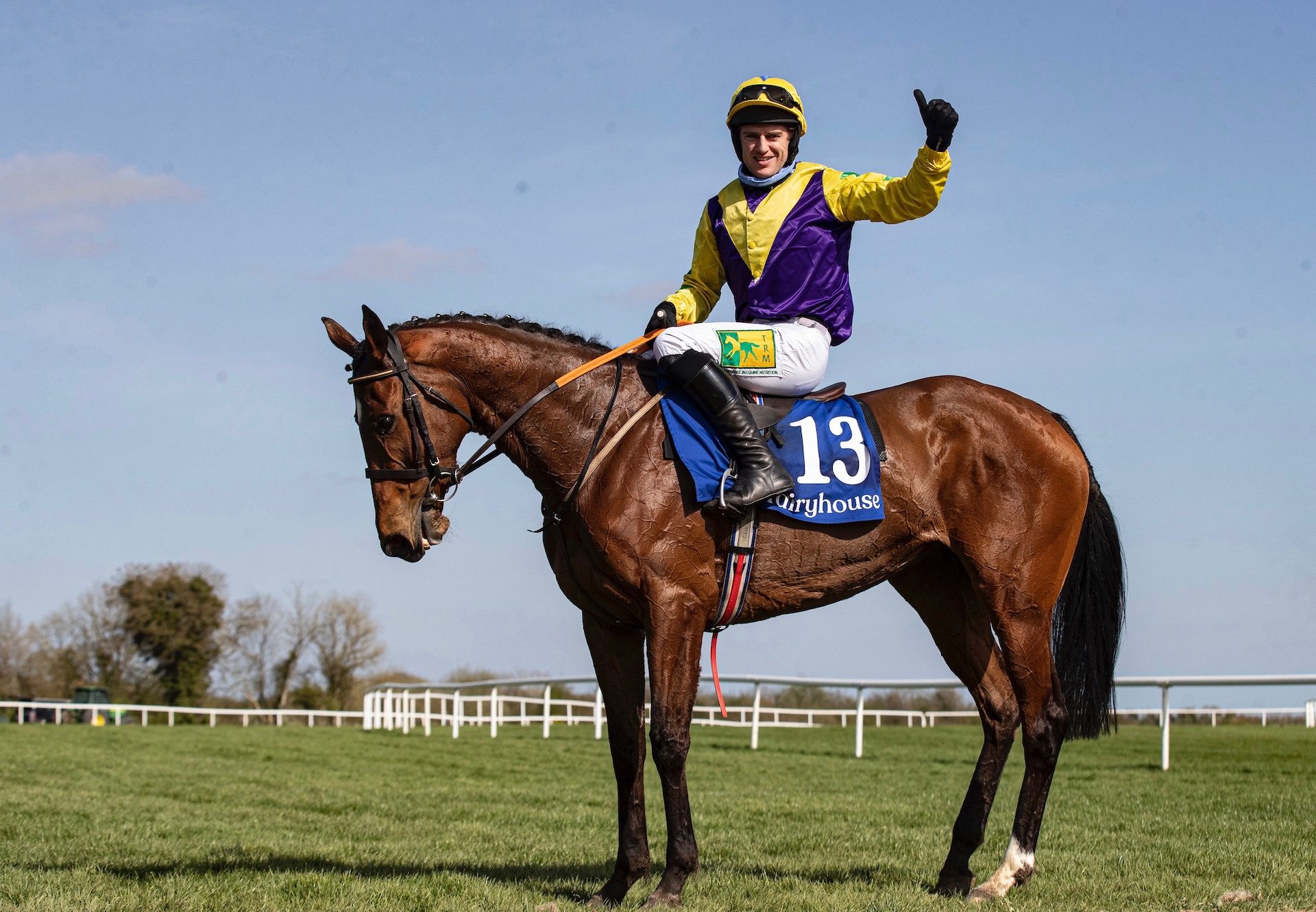 Skyace (Westerner) After Winning The Grade 1 Mares Novice Championship Hurdle at Fairyhouse