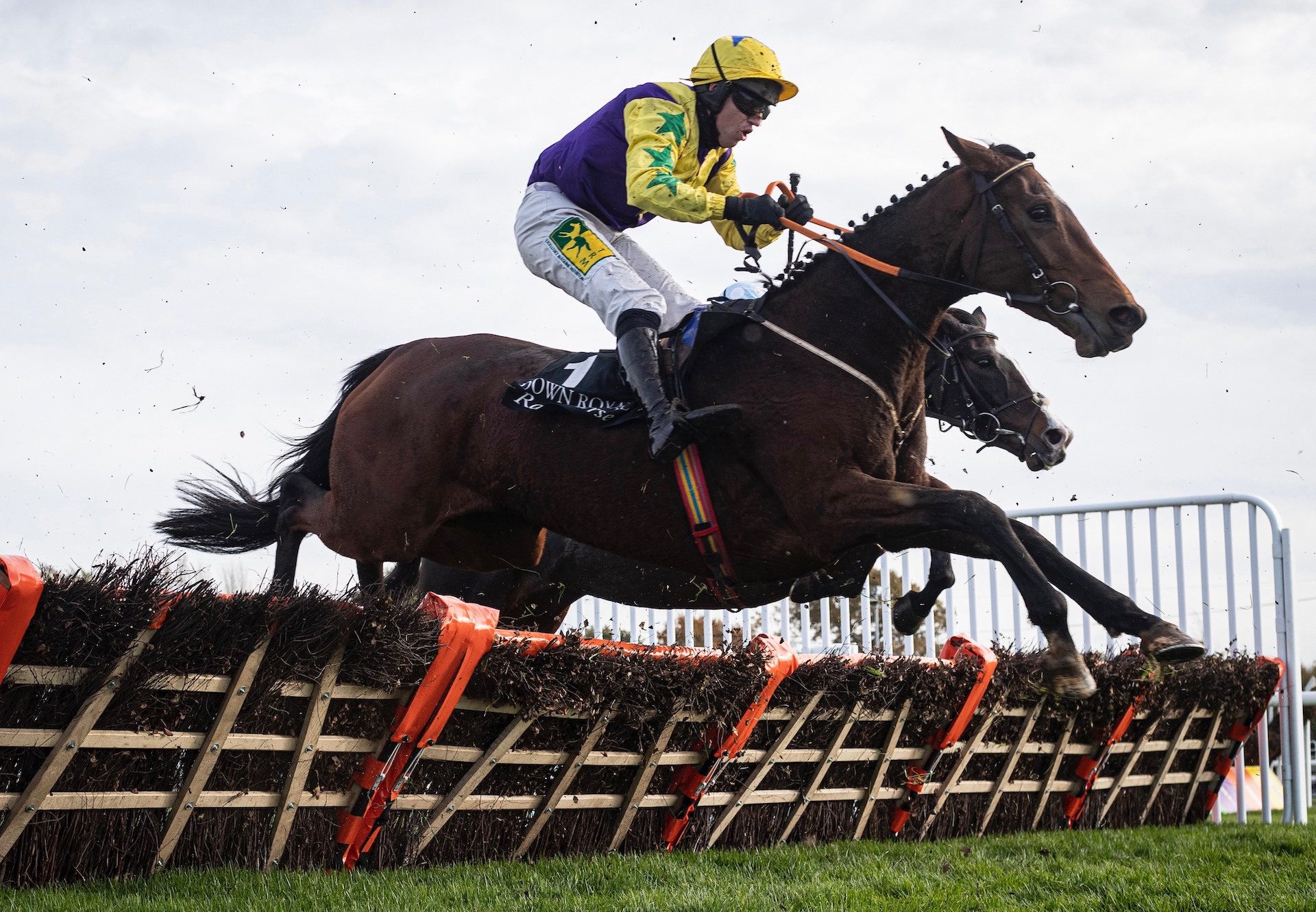 Skyace (Westerner) Wins The Grade 3 Mares Novice Hurdle at Down Royal