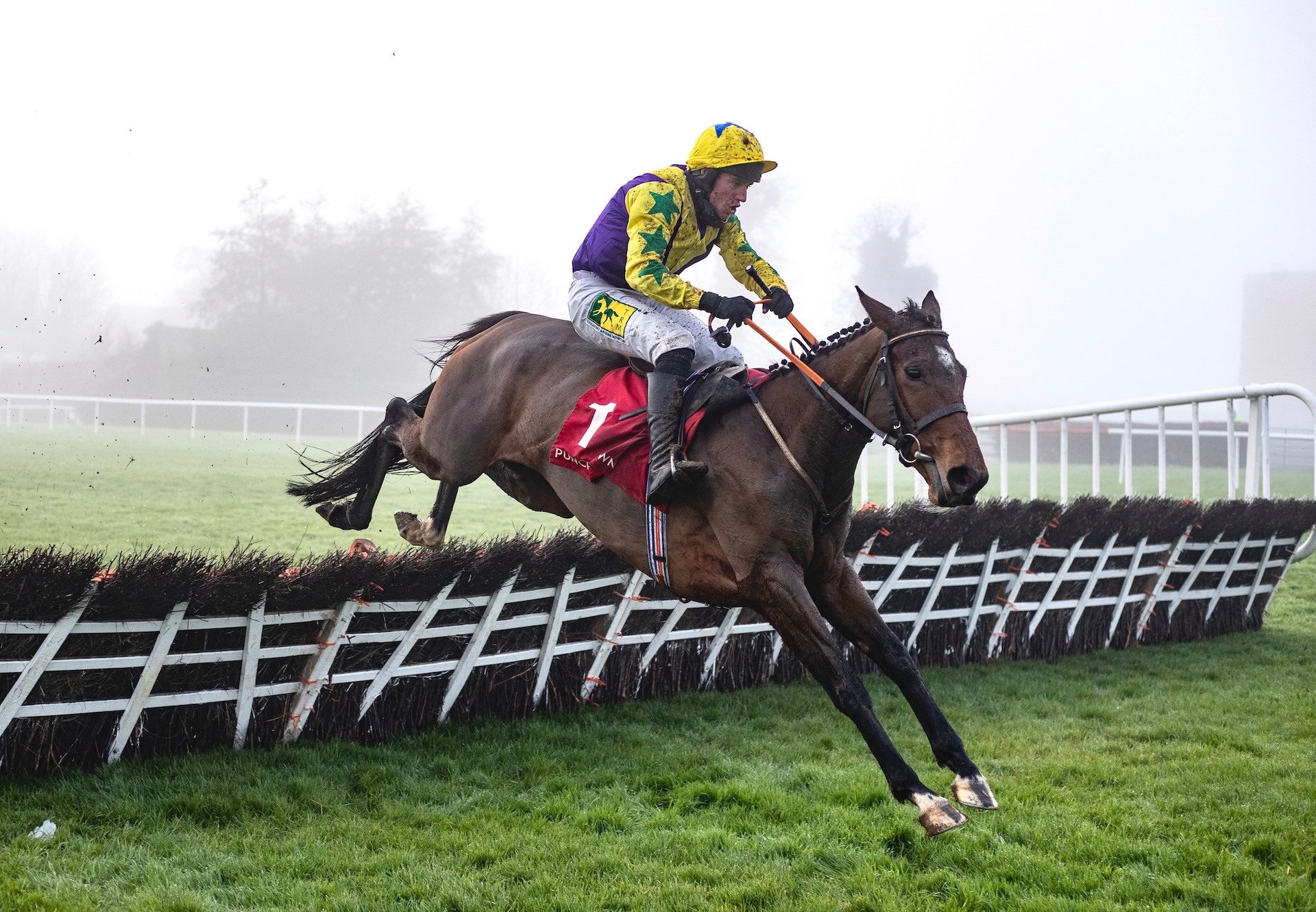 Skyace (Westerner) Wins The Listed Mares Novice Hurdle At Punchestown