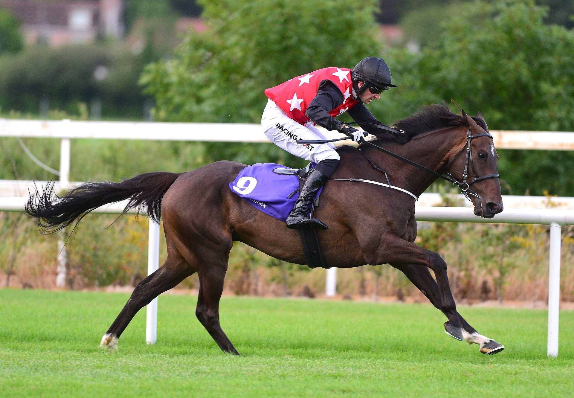 Sneaky Getaway (Getaway) winning the QR race at Leopardstown