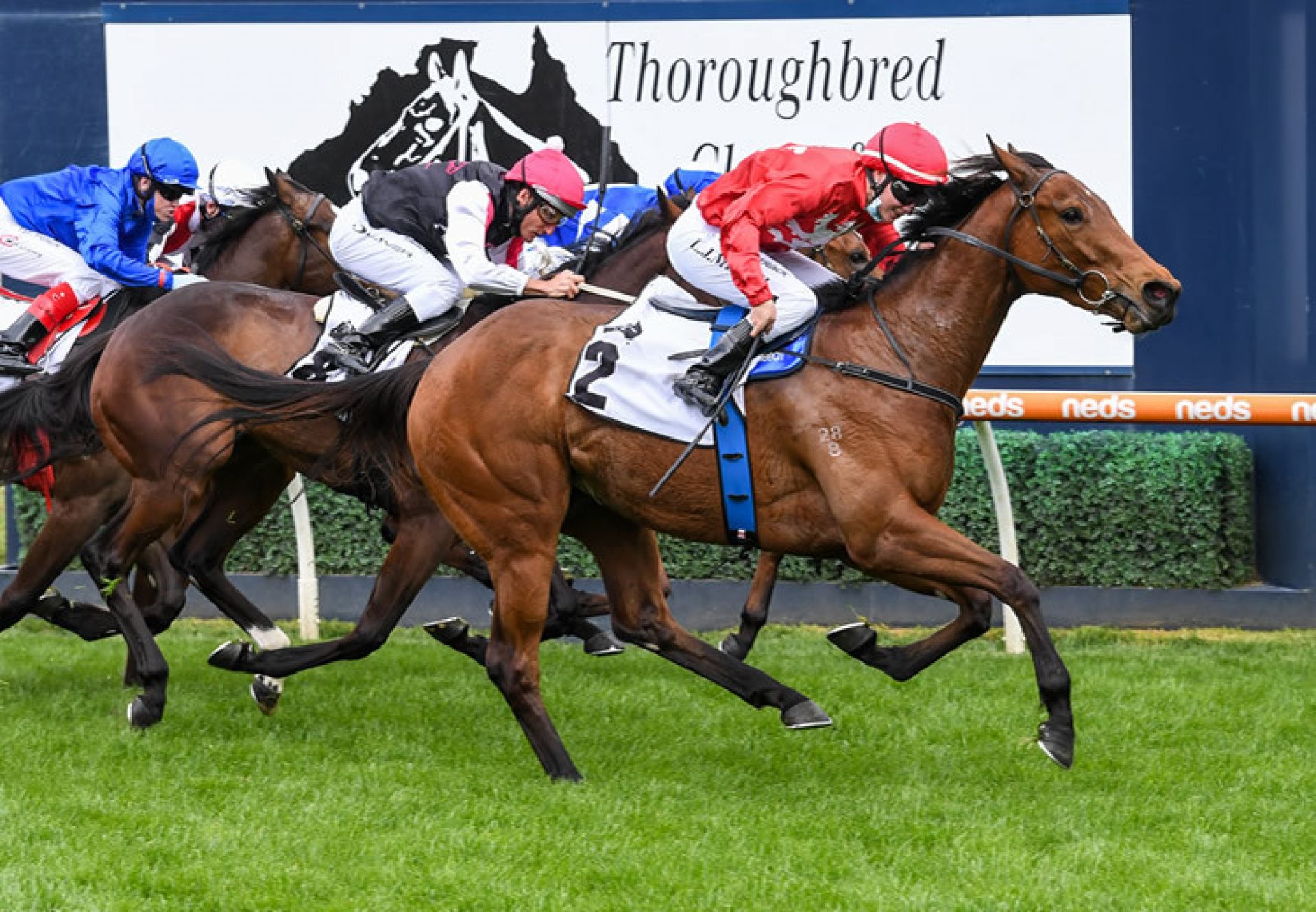Sneaky Five (Fastnet Rock) winning the Gr.3 Thoroughbred Club Stakes at Caulfield