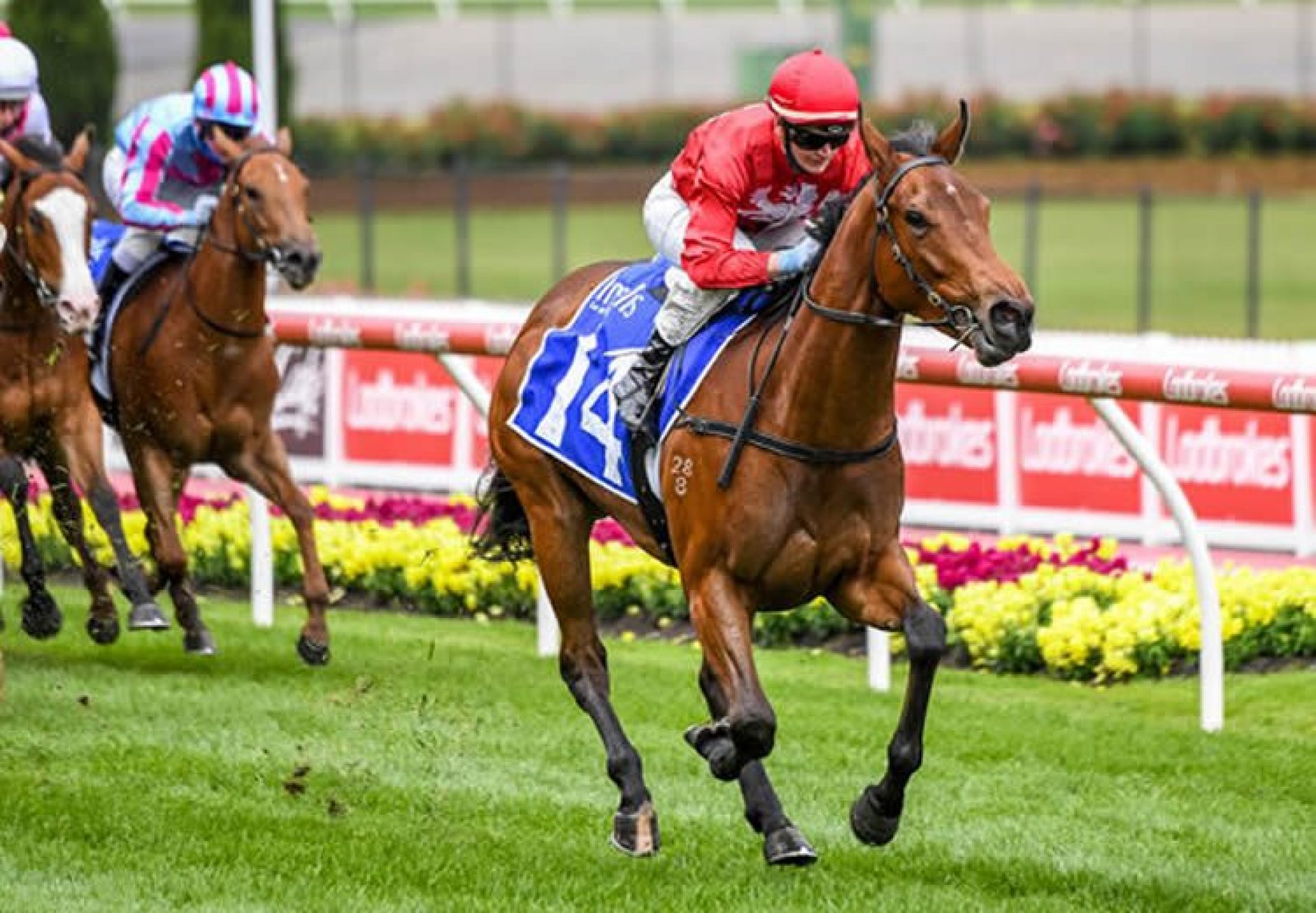 Sneaky Five (Fastnet Rock) winning the Inglis Banner at Moonee Valley