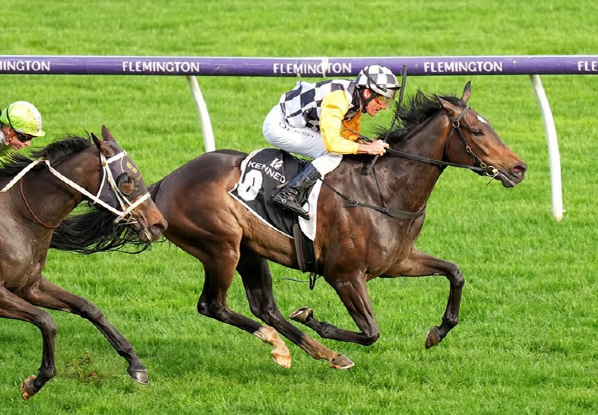 So Dazzling (So You Think) winning at Flemington