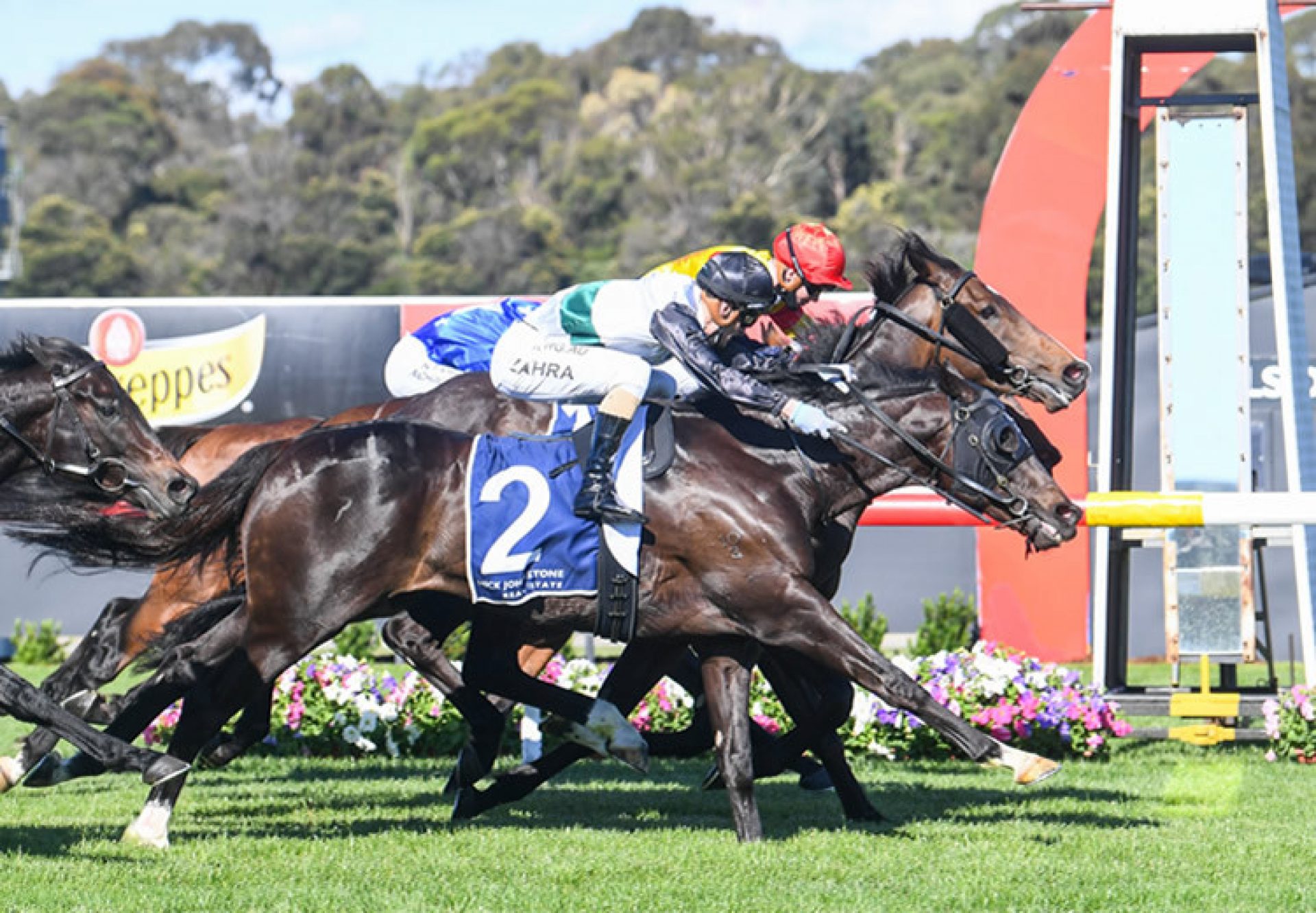 So Si Bon (So You Think) wins The Gr.3 Eclipse Stakes at Sandown