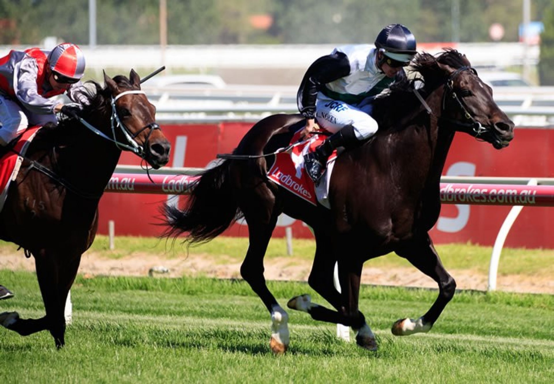 So Si Bon (So You Think) winning the Listed VRC Lord Stakes at Caulfield