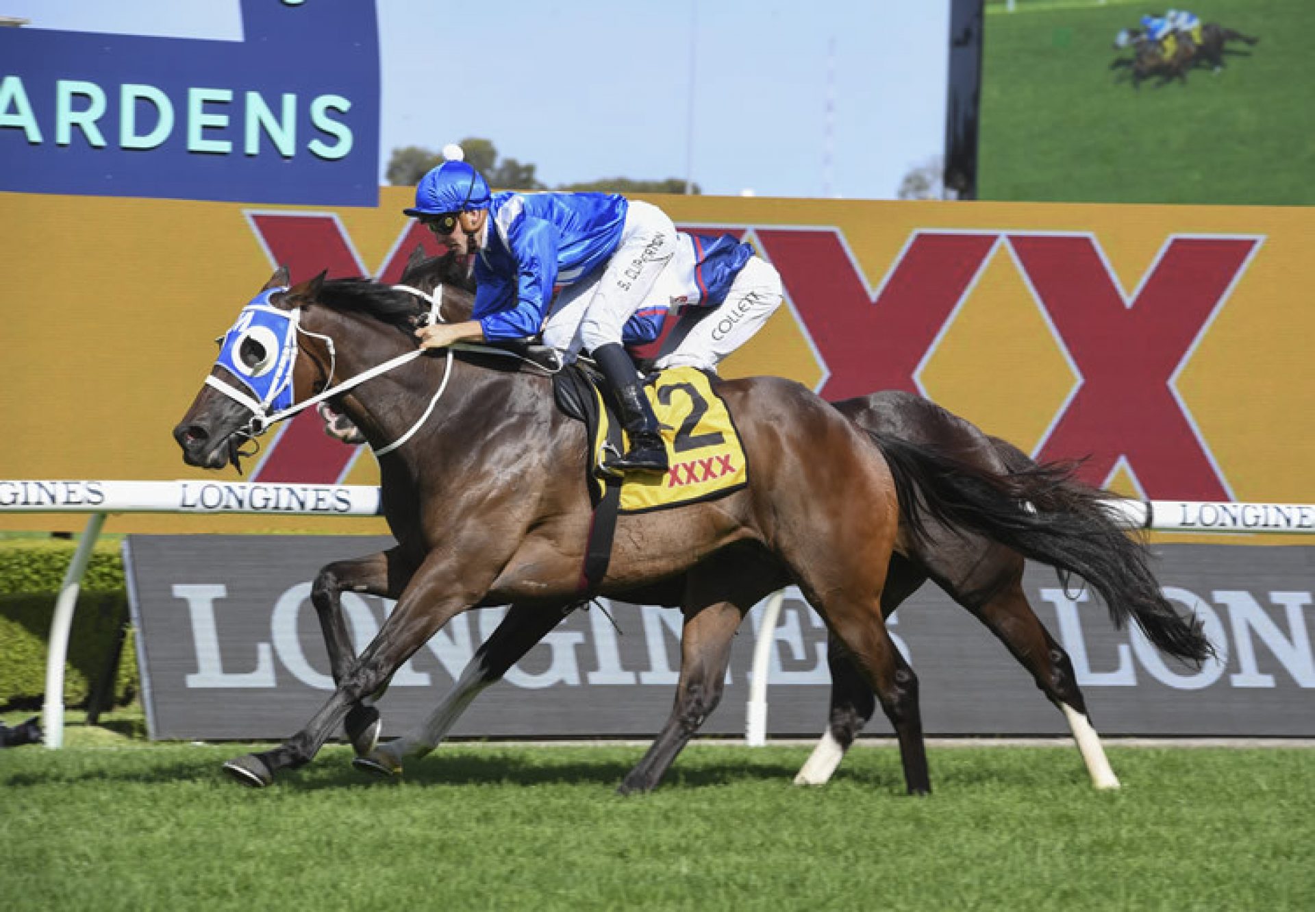 So You Win (So You Think) win the Listed January Cup at Rosehill