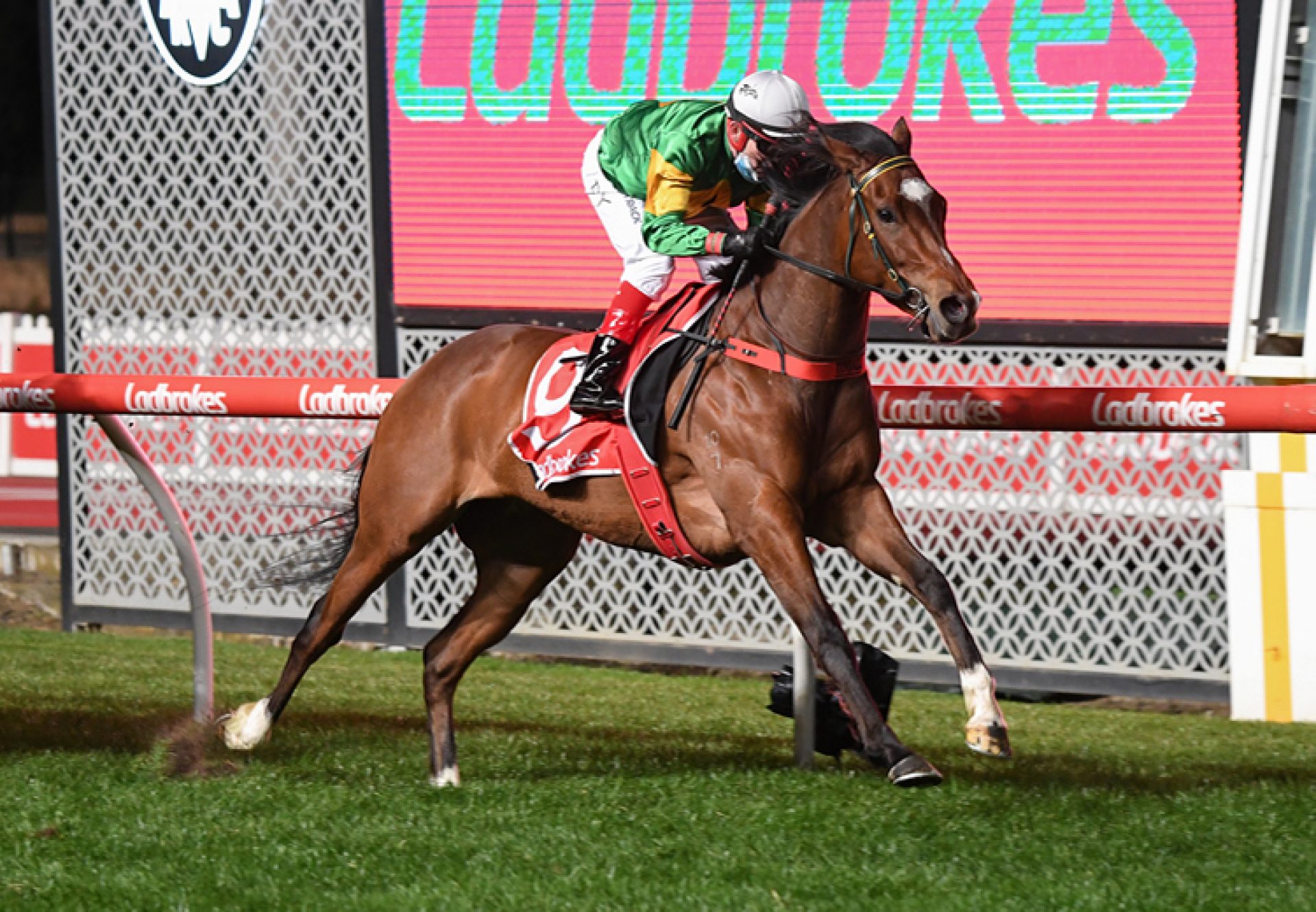 So You Assume (So You Think) winning the Gr.2 Stocks Stakes at Moonee Valley