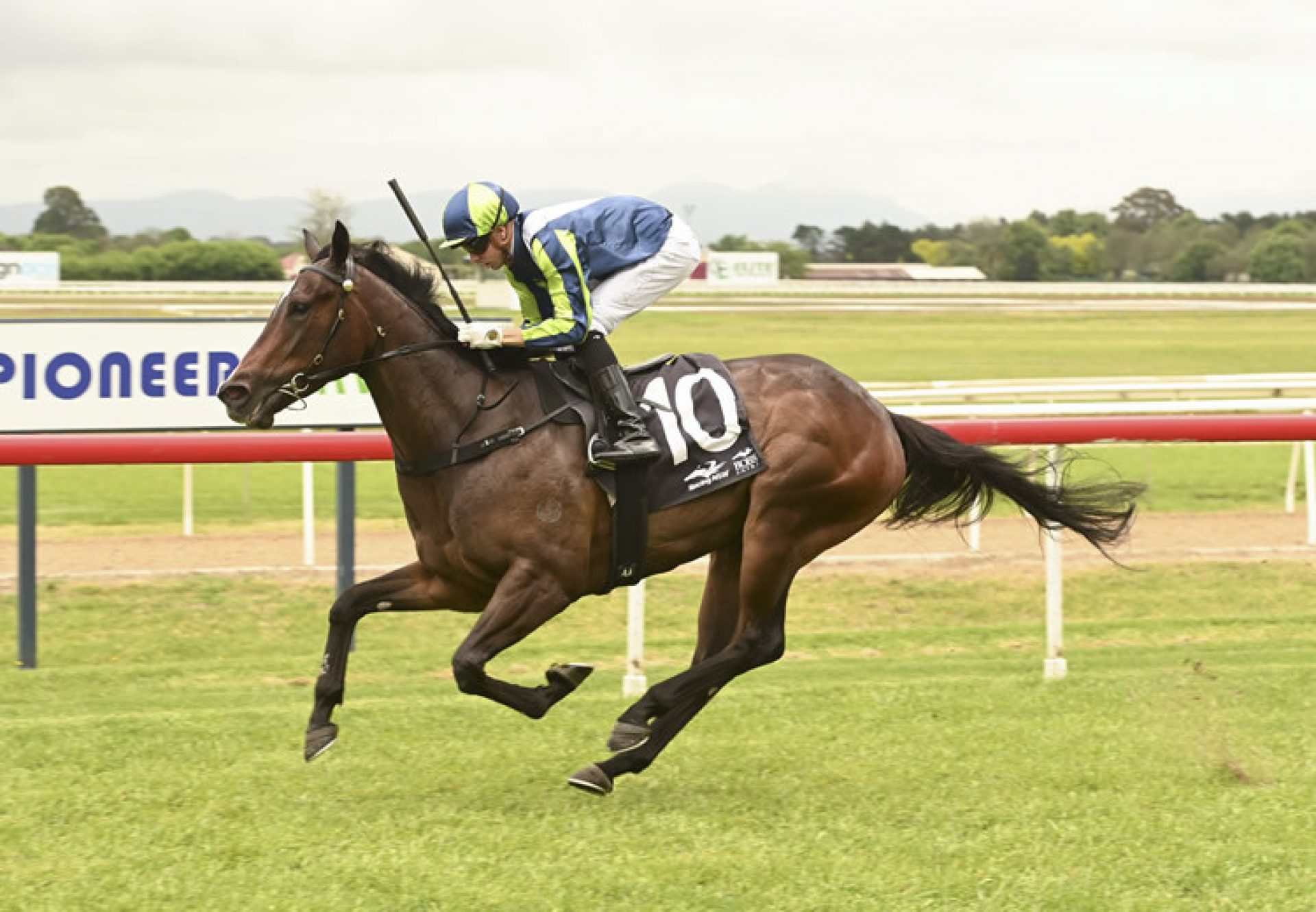 So You Battle (So You Think) winning at Hawkesbury