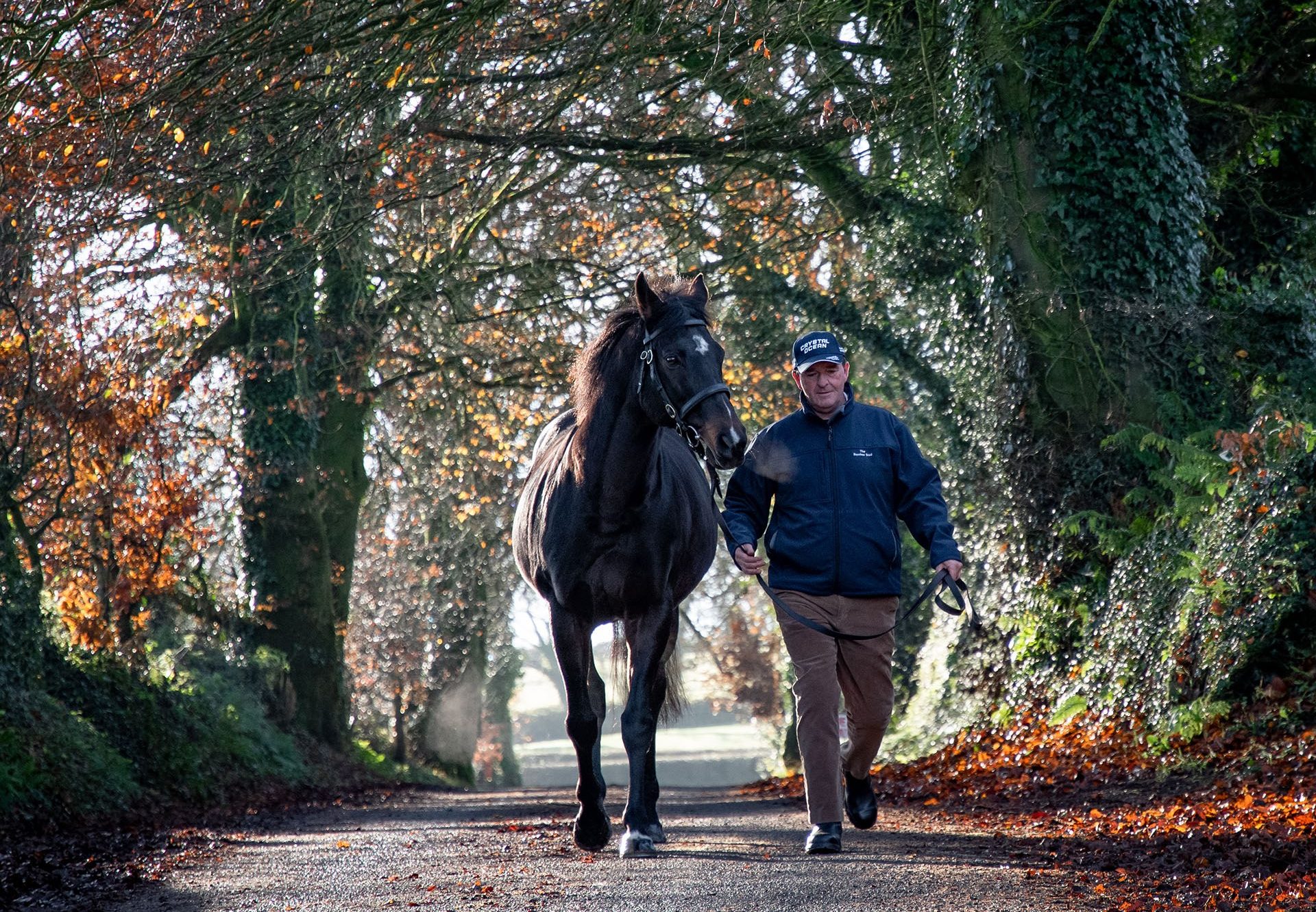 Soldier Of Fortune Walking