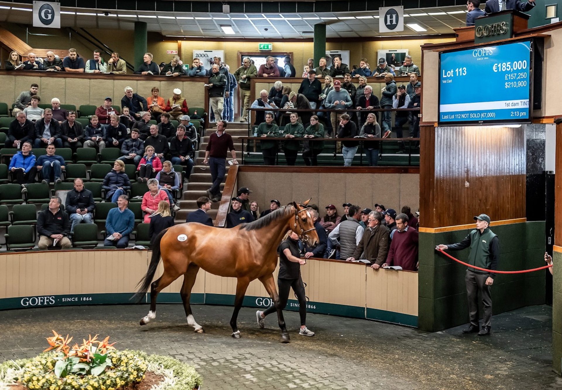 Son Of Yeats Tops 2019 Goffs Land Rover Sale