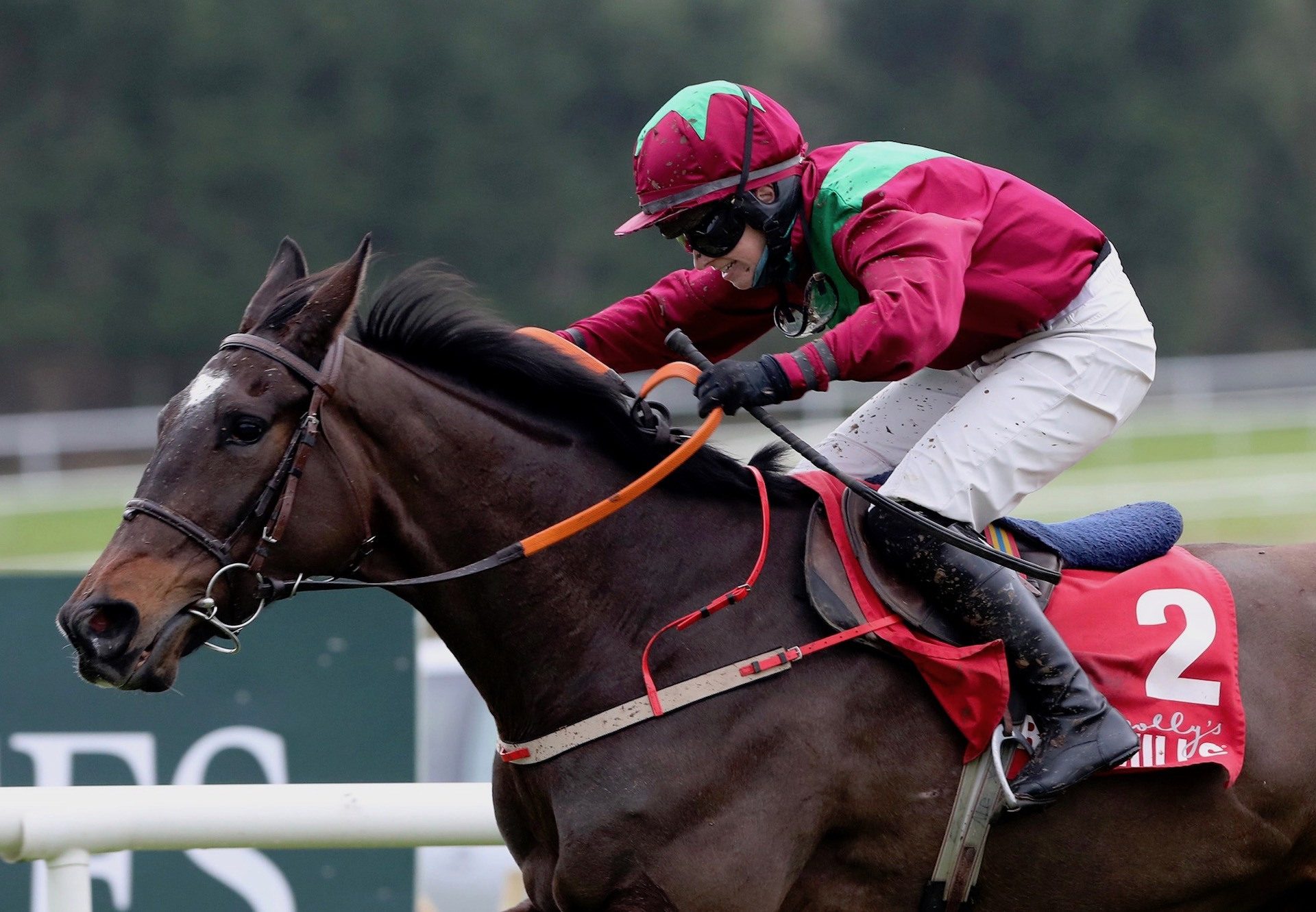 Song Of Earth (Mahler) Wins The Maiden Hurdle At Gowran Park