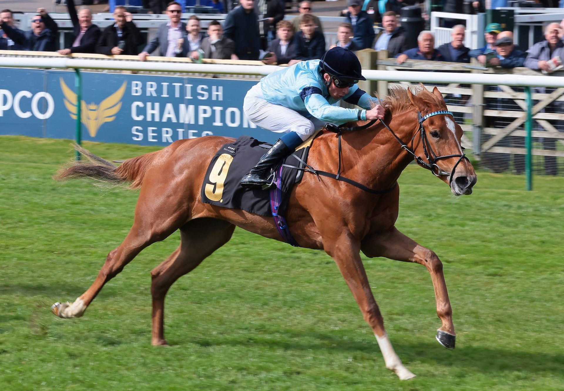 Soprano (Starspangledbanner) Wins On Debut at Newmarket