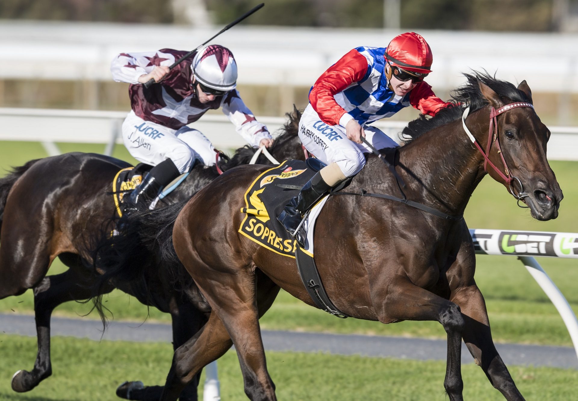 Sopressa (So You Think) winning the Australasian Oaks at Morphettville Parks