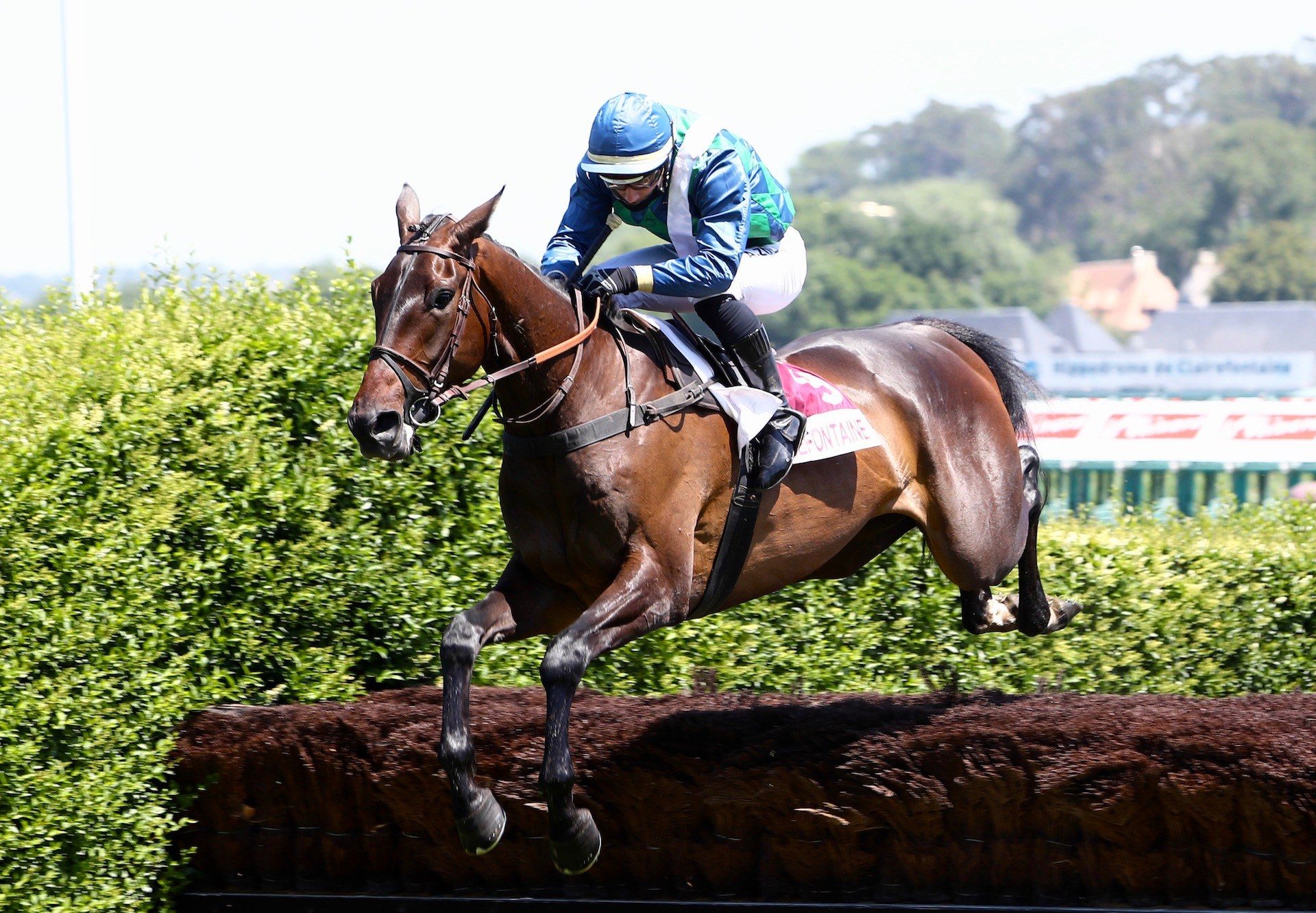Sorcier Du Roi (Getaway) Wins On Debut at Clairefontaine