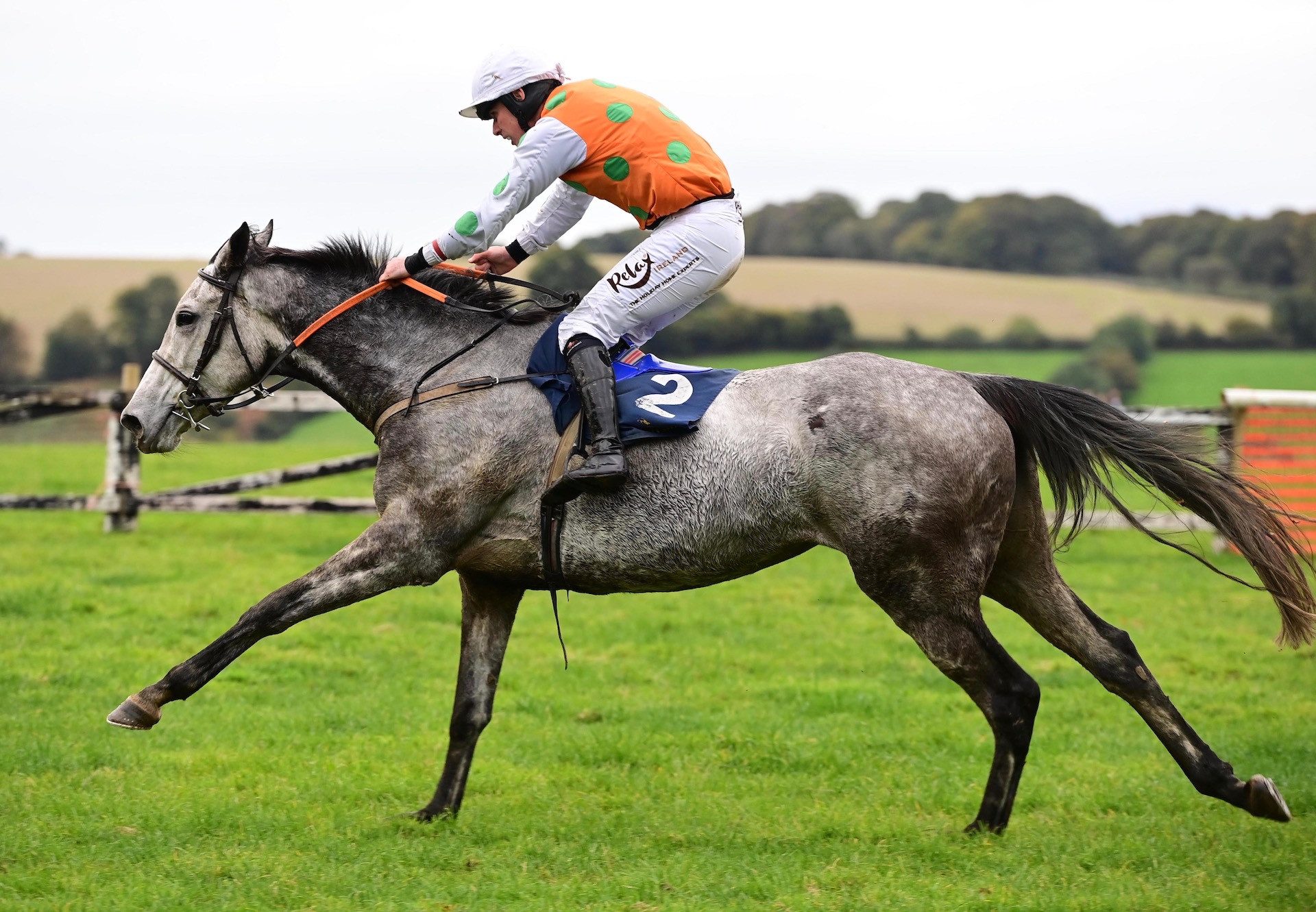 Sous Les Rose (Walk In The Park) Wins At Tinahely