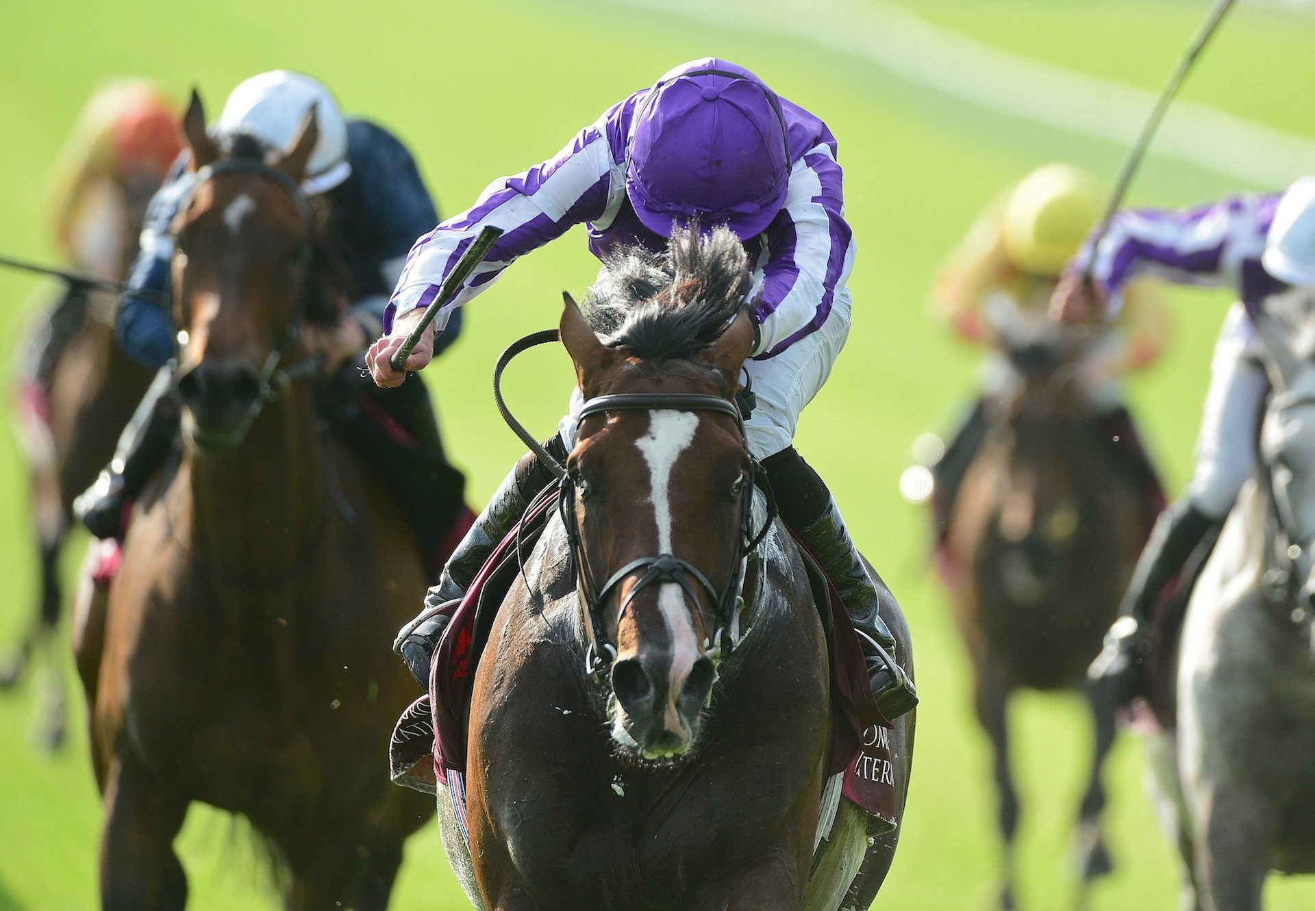 Southern France (Galileo) Wins The Irish St Leger Trial
