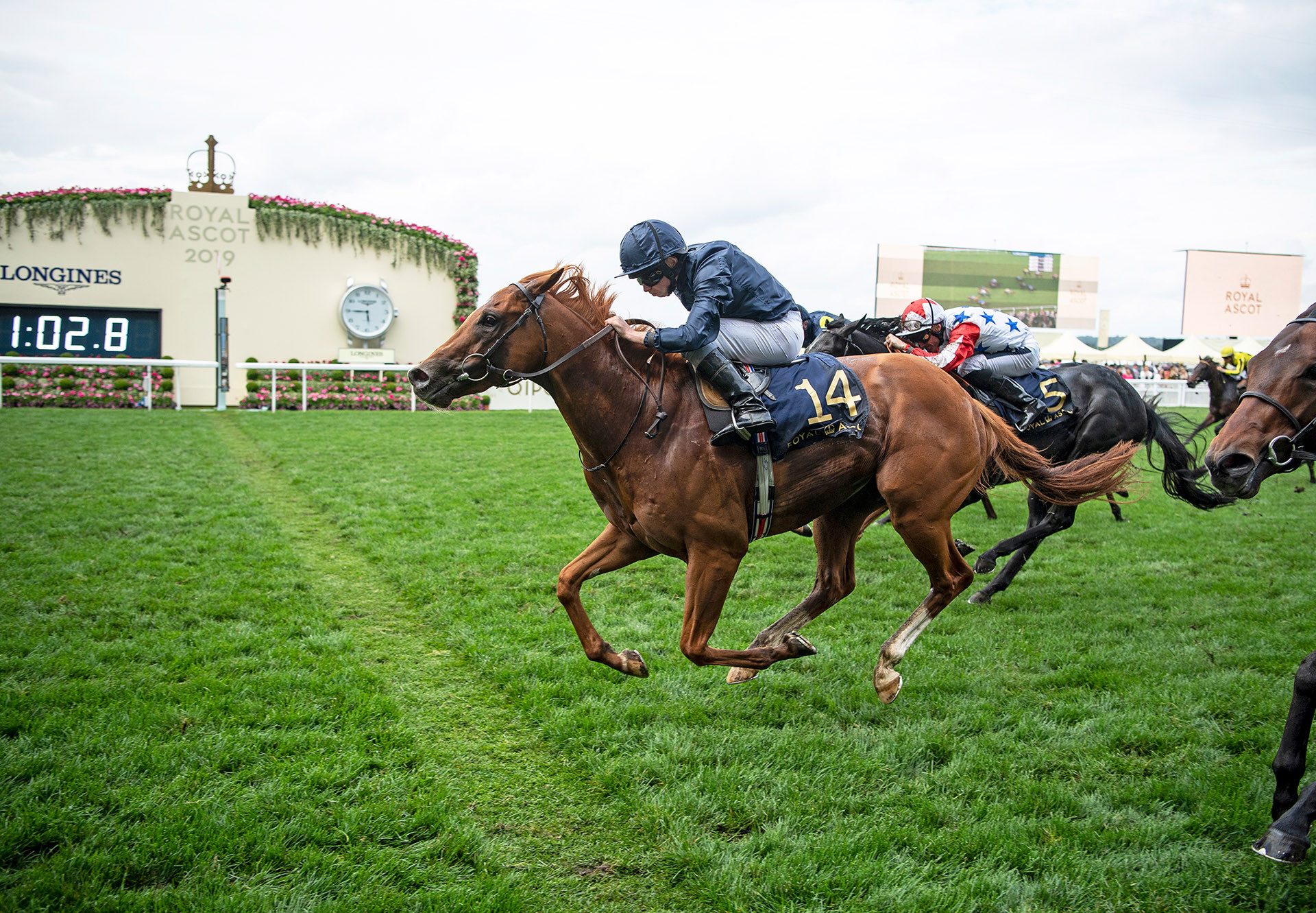 Southern Hills (Gleneagles) winning the Windsor Castle at Royal Ascot