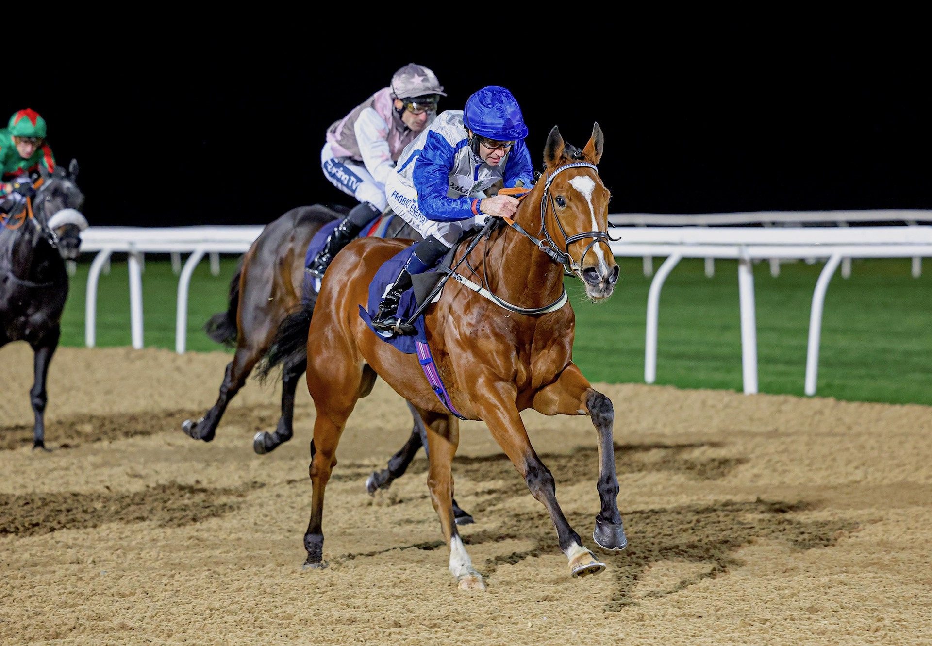 Southwold (Gleneagles) Makes A Winning Debut at Newcastle