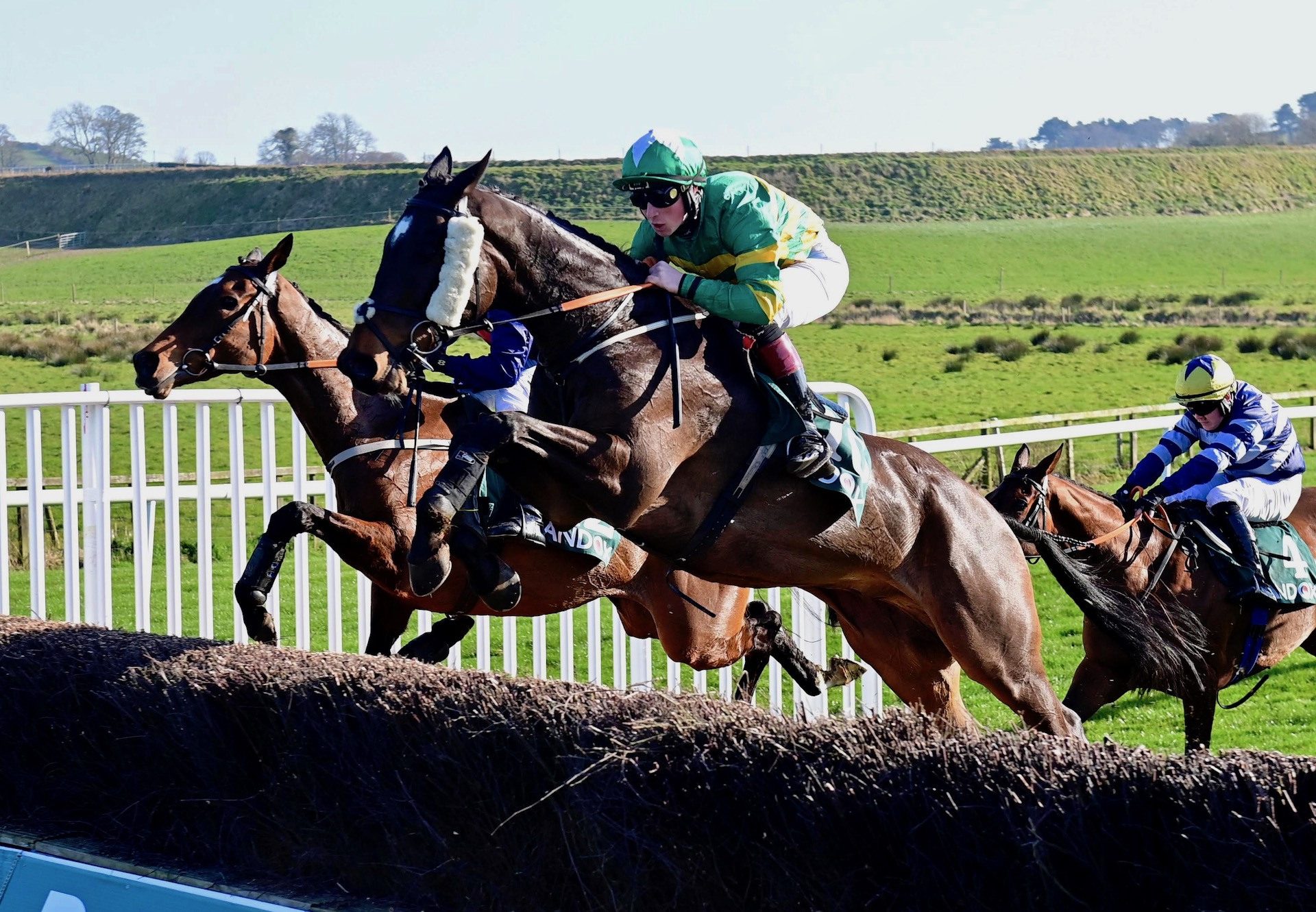 Spades Are Trumps (Yeats) Wins The Ulster National at Down Royal