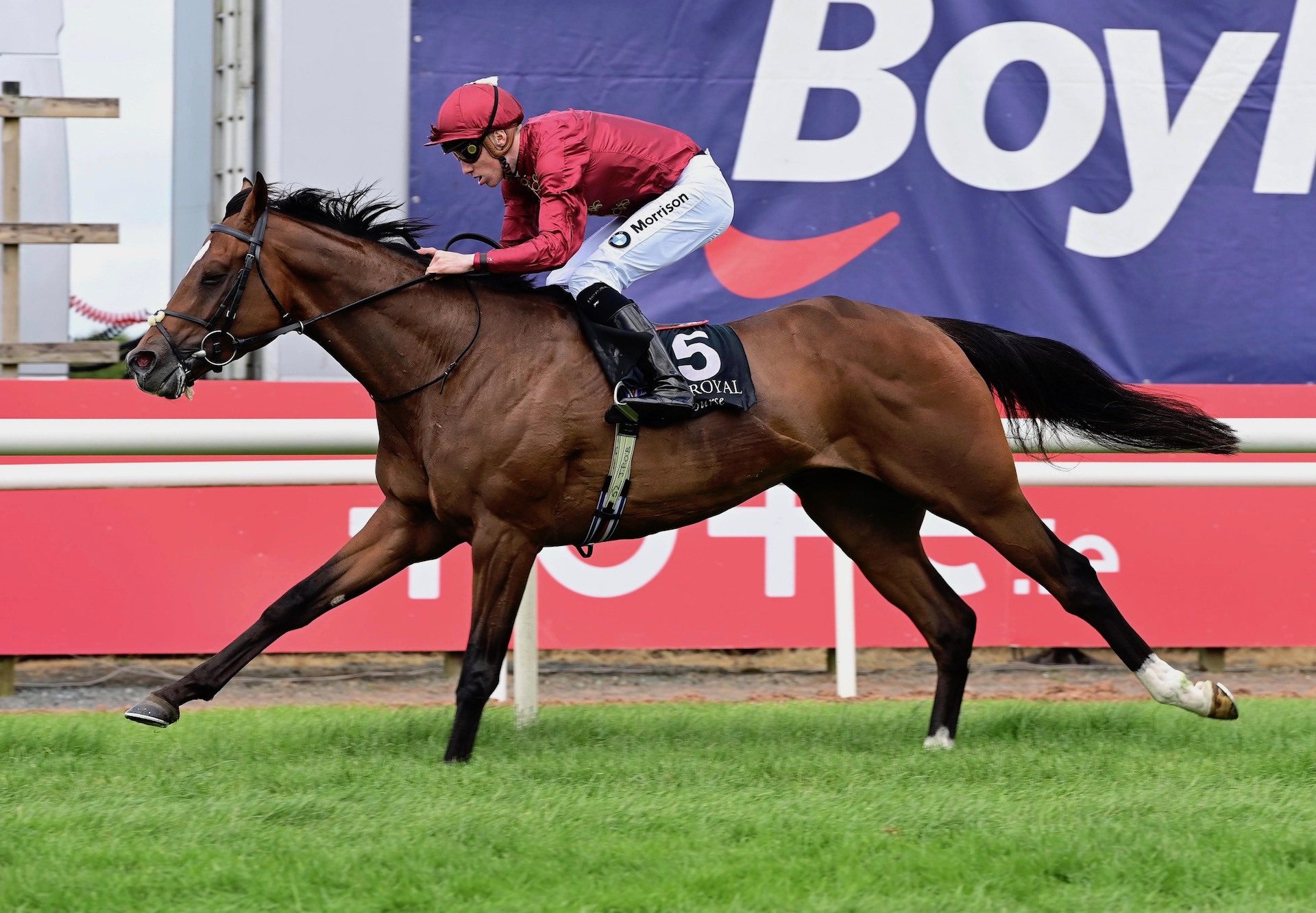 Spartan Army (Highland Reel) Wins The Maiden At Down Royal