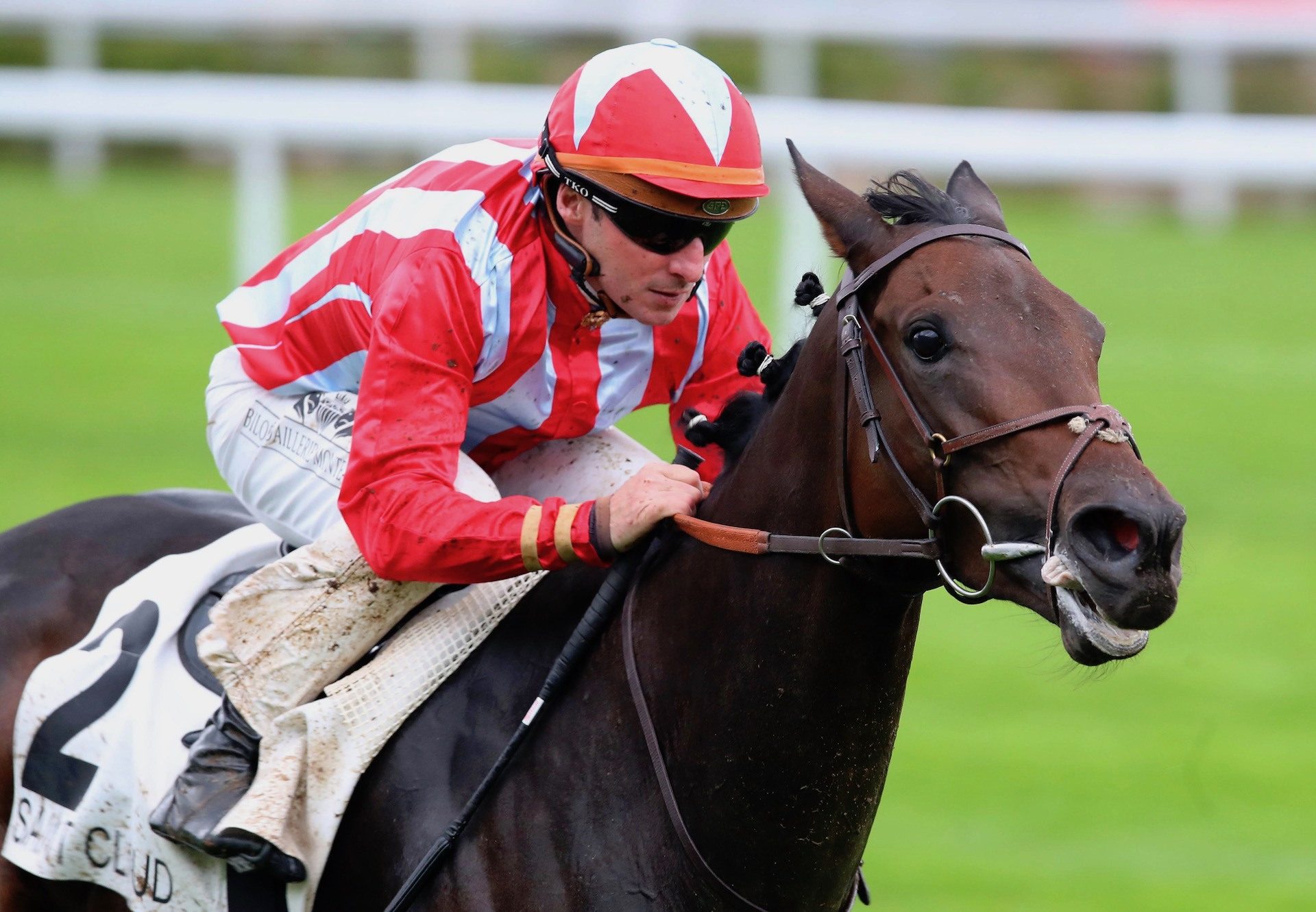 Speak Of The Devil (Wootton Bassett) Wins The Listed Prix Isobala Bella at Saint-Cloud