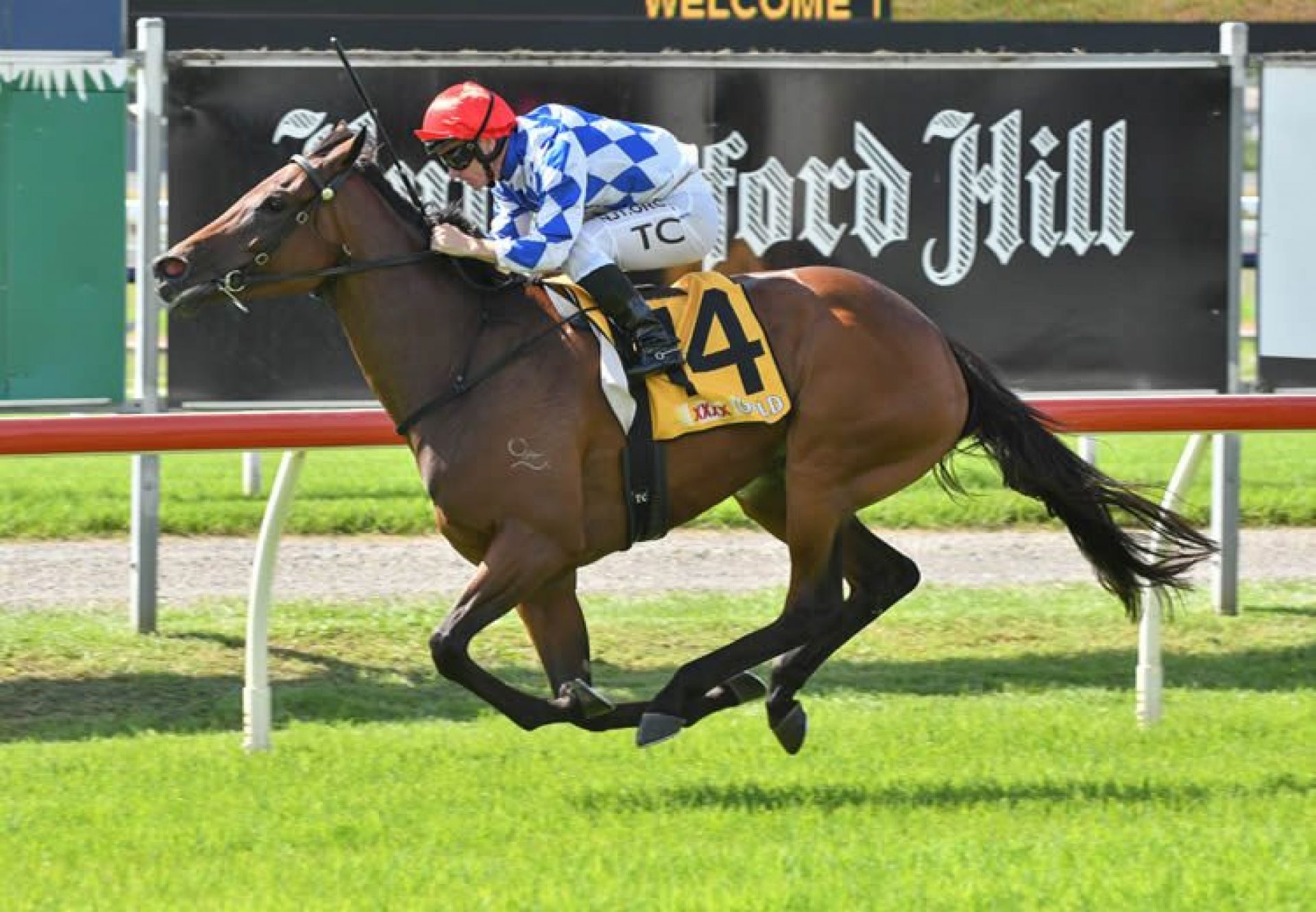 Splendiferous (Pride Of Dubai) wins the Wagga Queen of the South