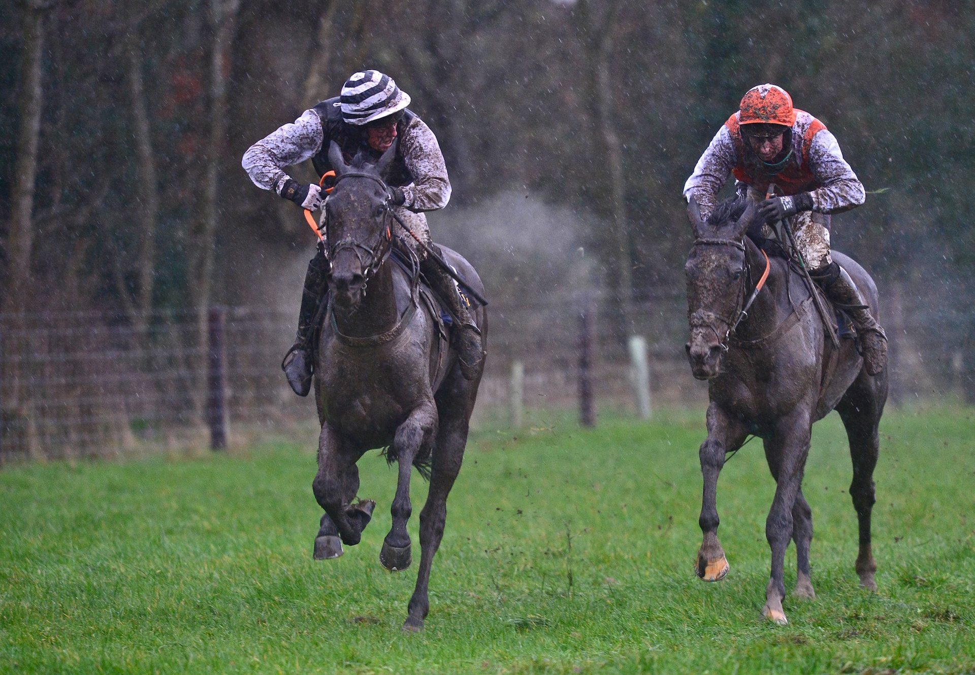 Sporting John (Getaway) Leads Home A 1 2 For Getaway At Borris House