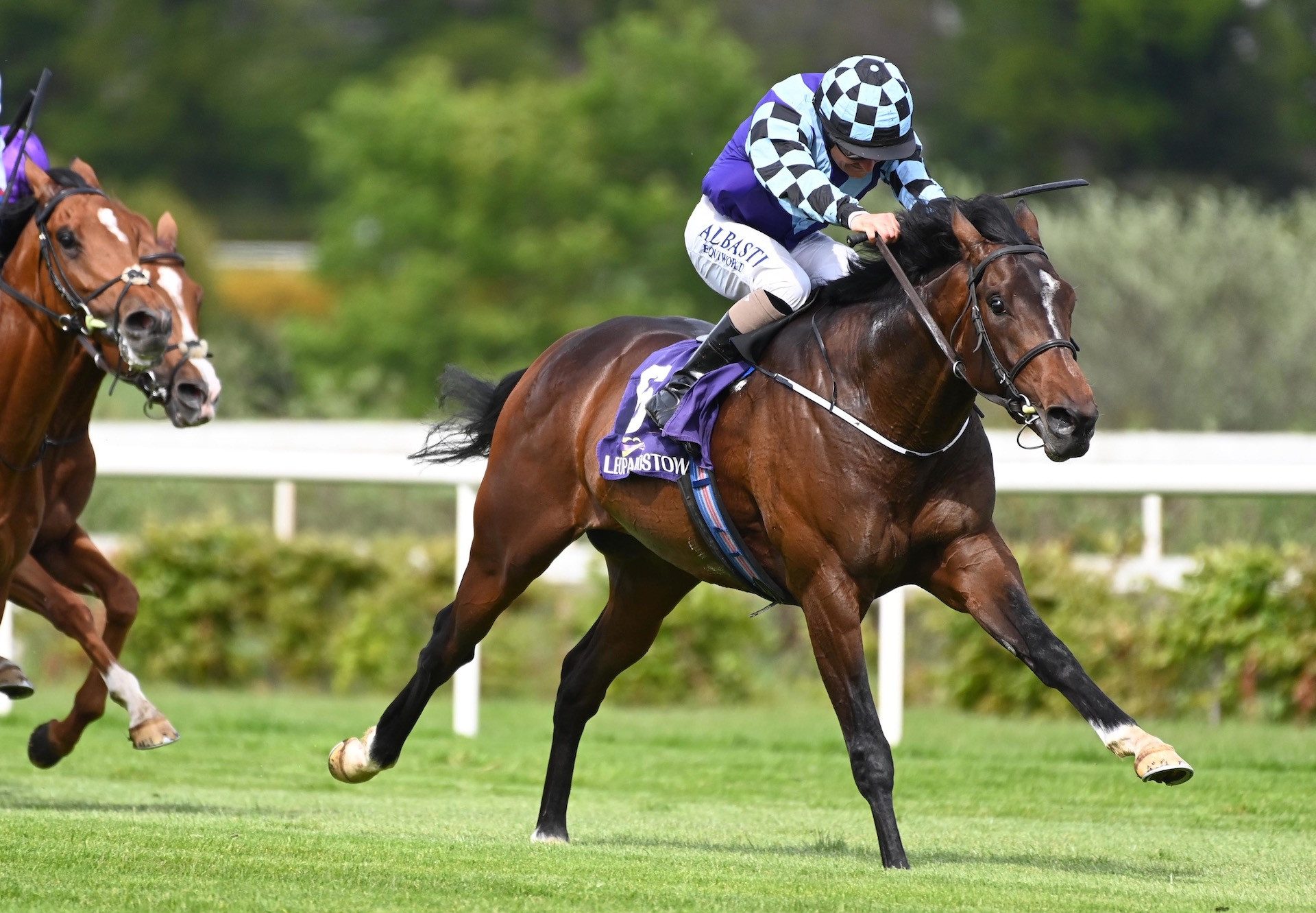Sprewell (Churchill) Wins The Group 3 Derby Trial at Leopardstown