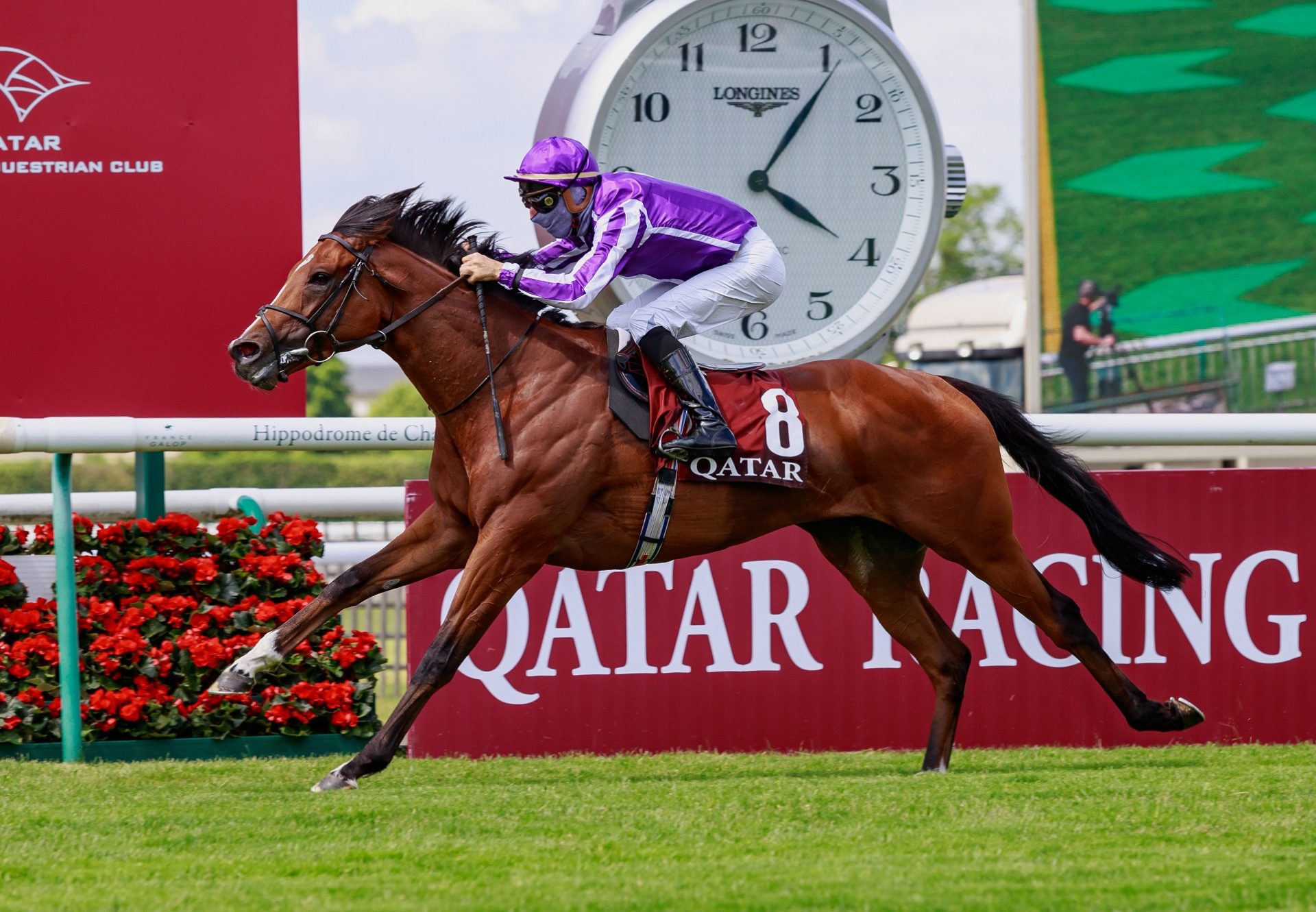 St Marks Basilica Prix Du Jockey Club Web