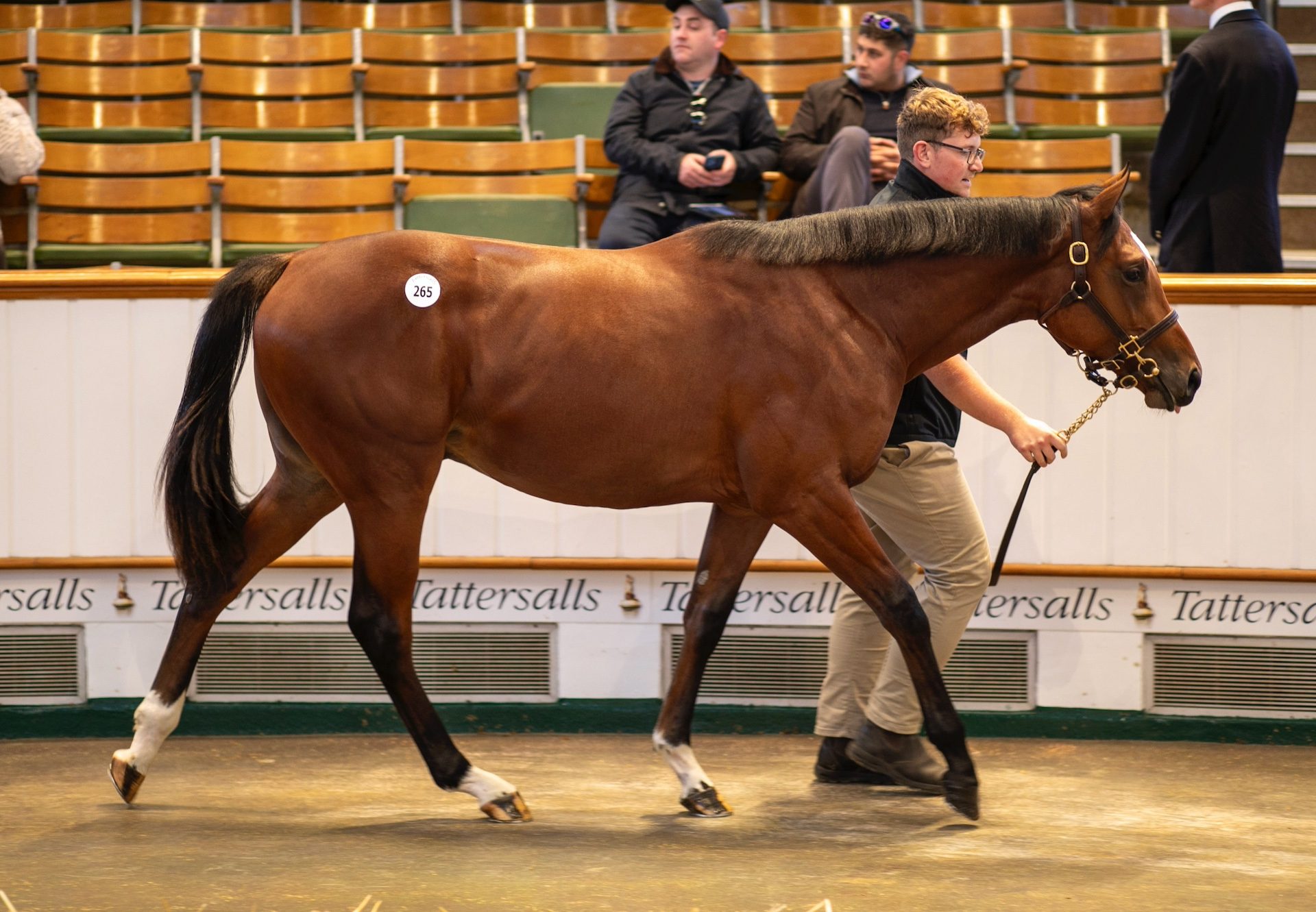 St Marks Basilica Filly Ex Longina Sells For 950000Gns At Book 1