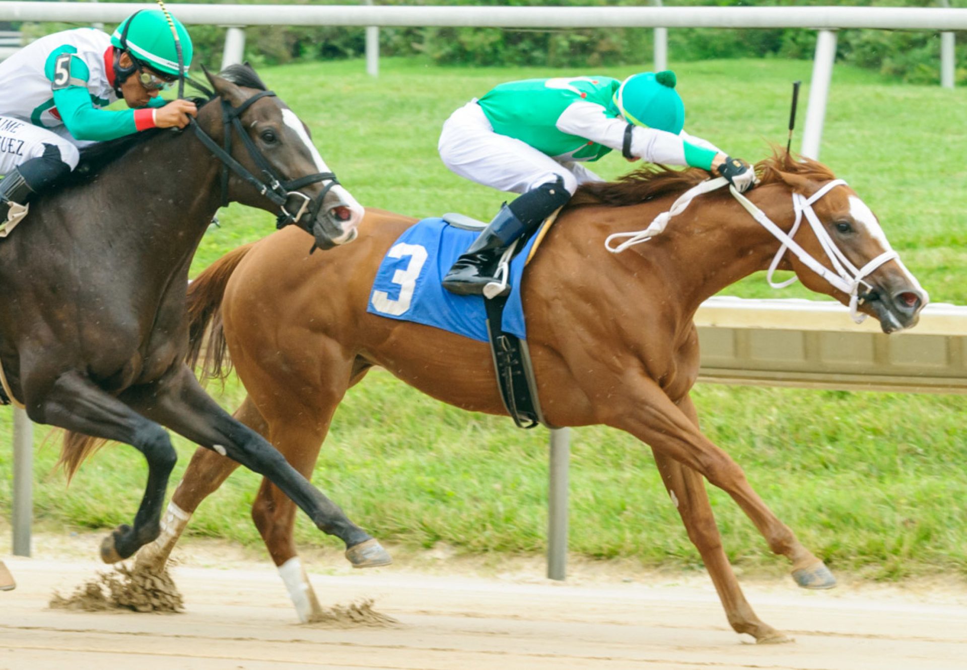 Stand Up Comic (Practical Joke) winning at Delaware