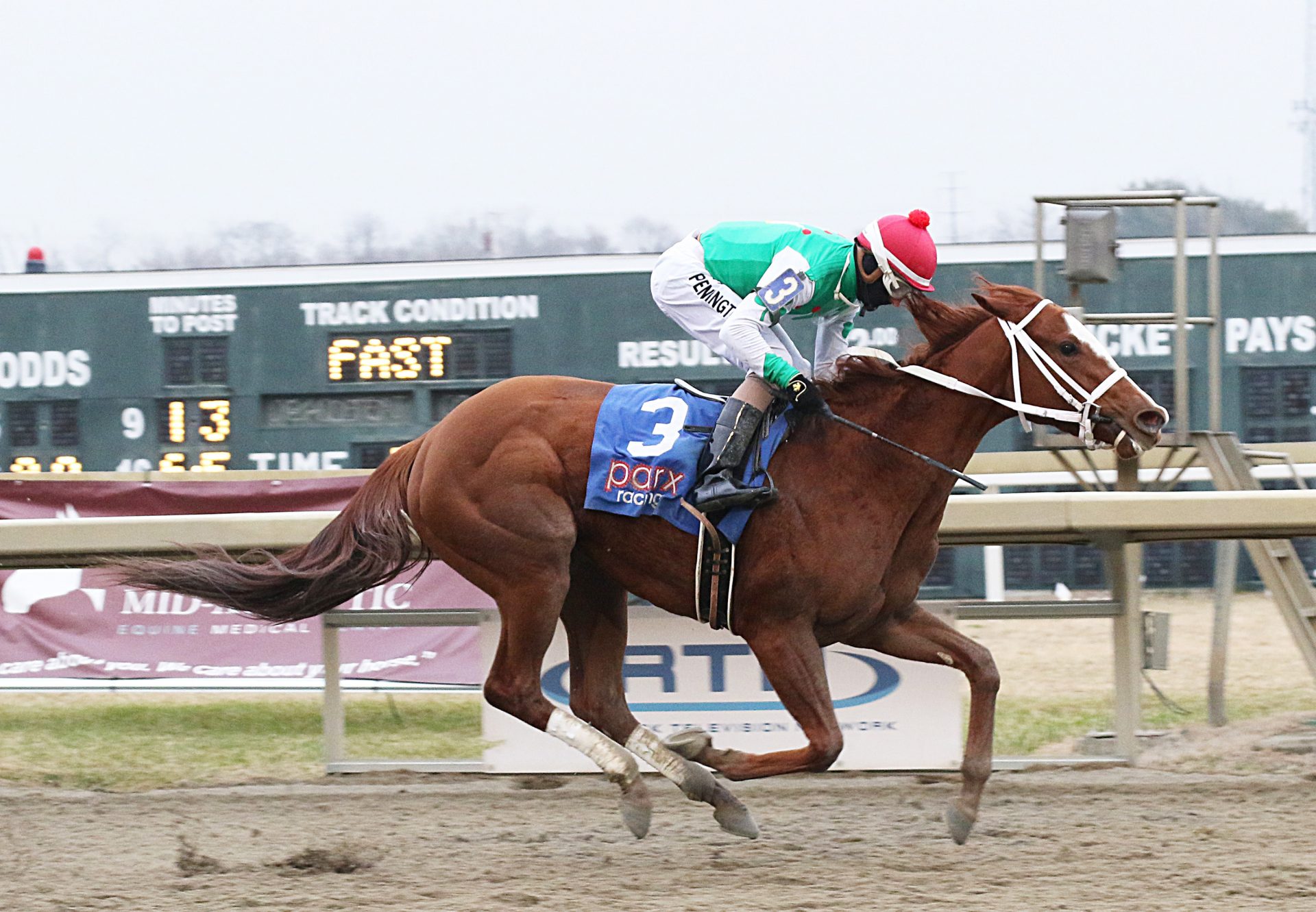 Stand Up Comic (Practical Joke) wins Parx Futurity at Parx