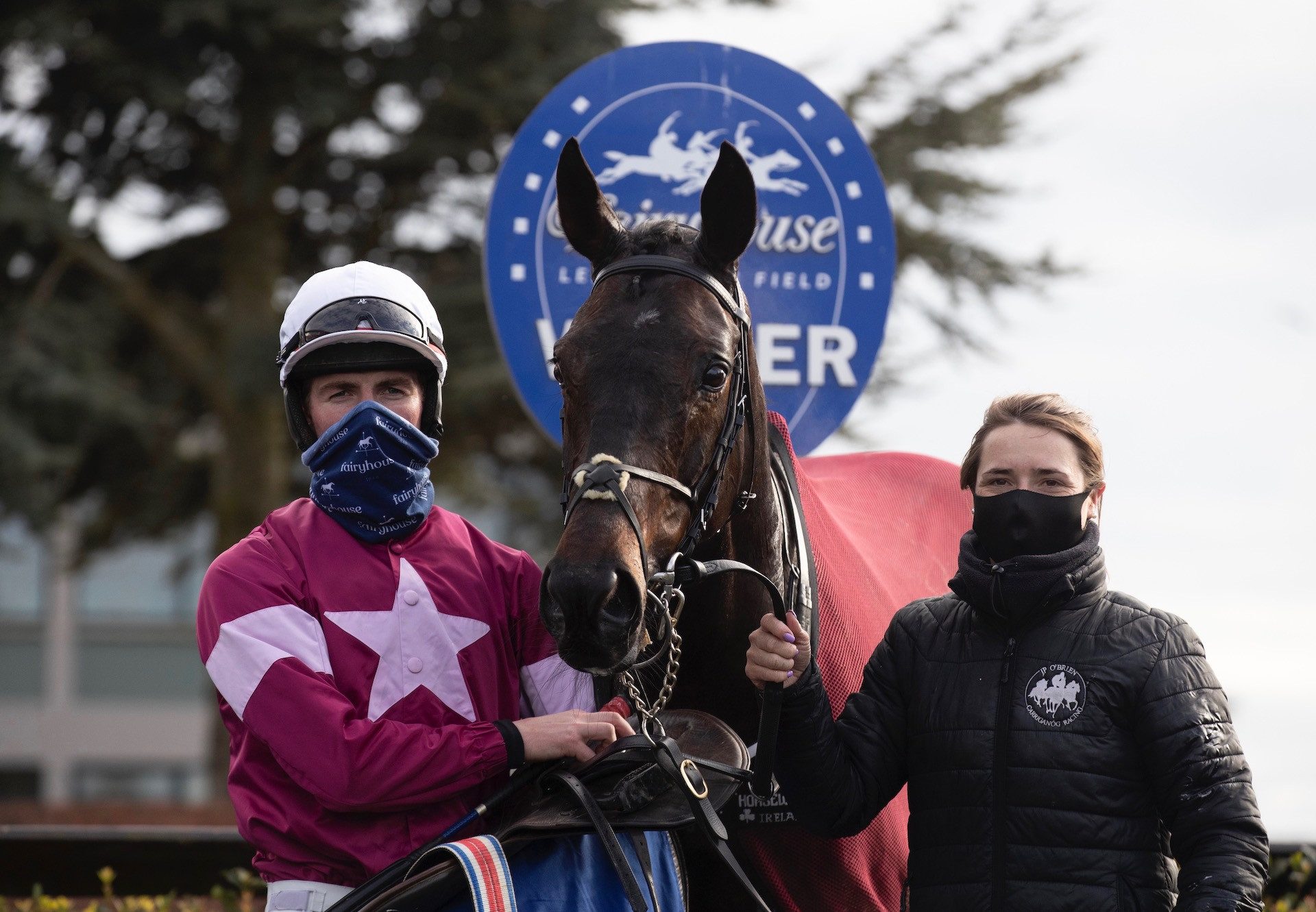 Star Max (Maxios) Wins The Beginners Chase At Fairyhouse