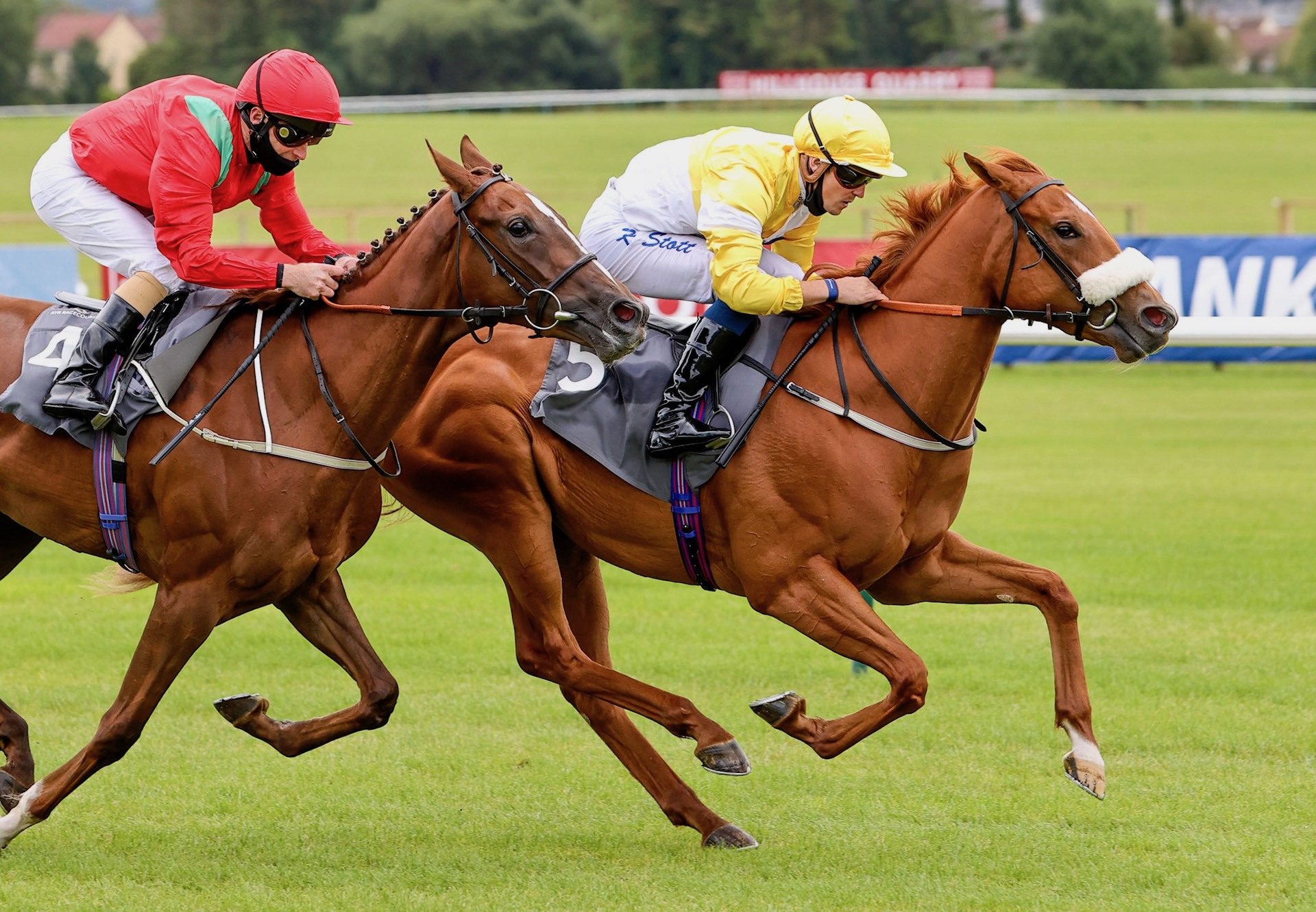 Star Of Emaraaty (Pride Of Dubai) Wins At Ayr